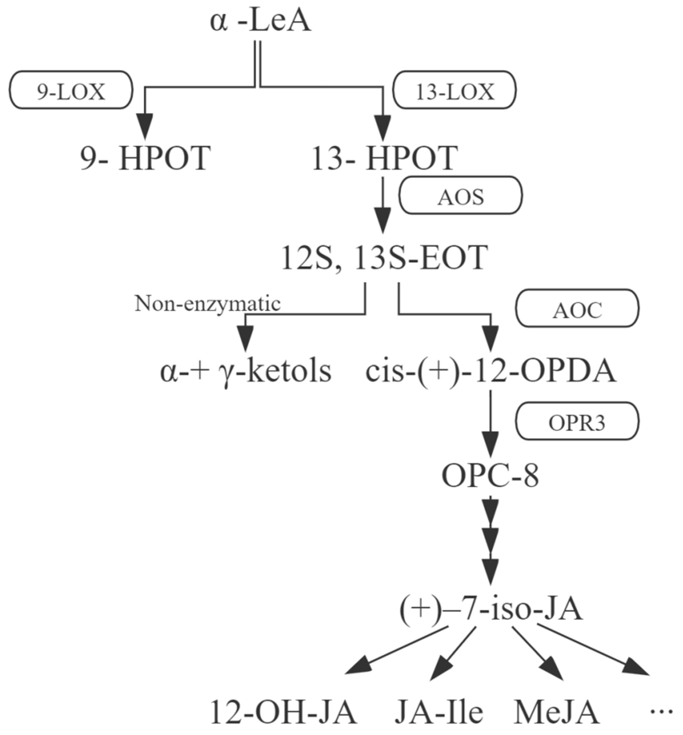 Ijms 23 09384 g001 550