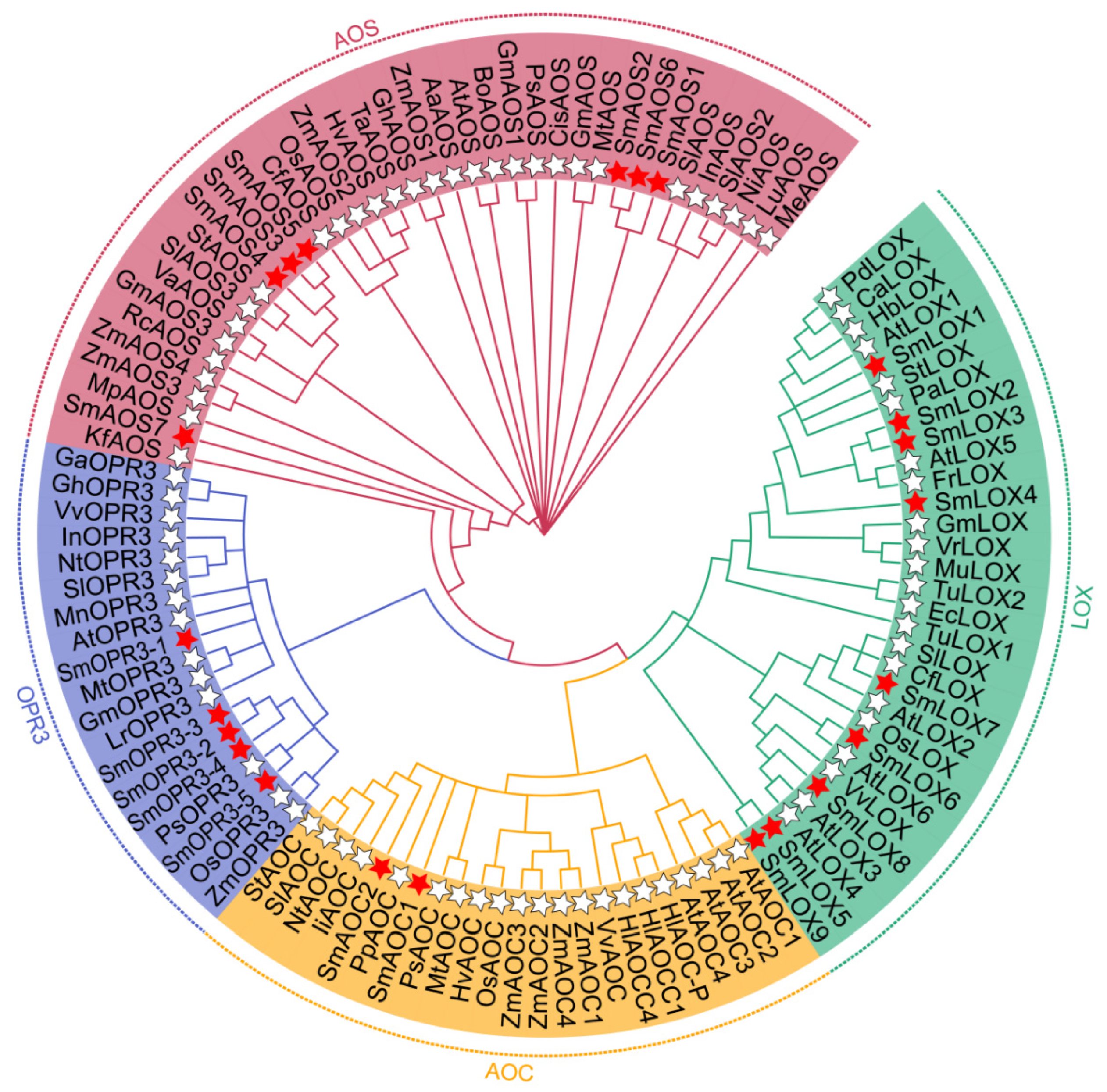 Ijms 23 09384 g002 550