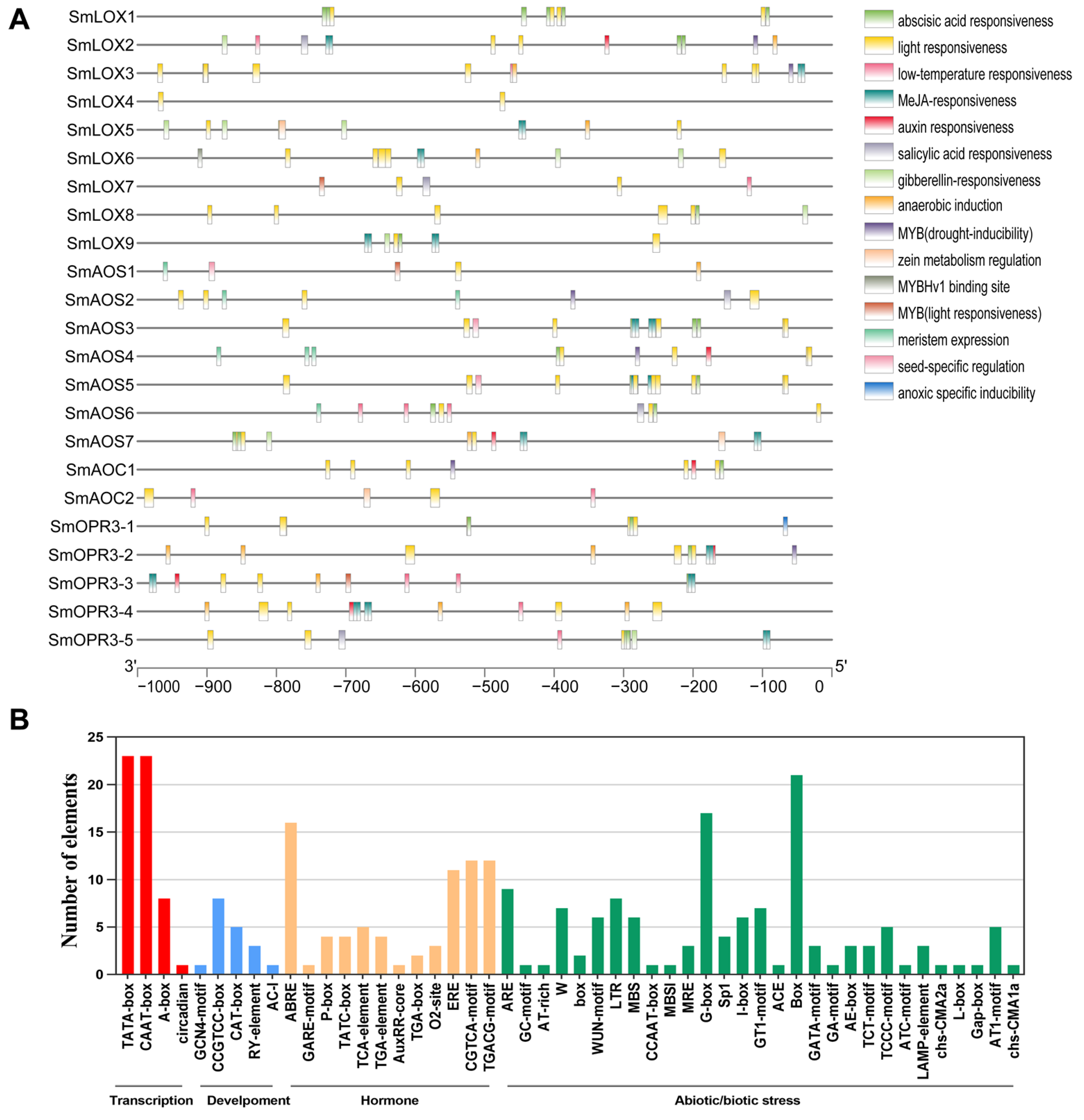 Ijms 23 09384 g005 550