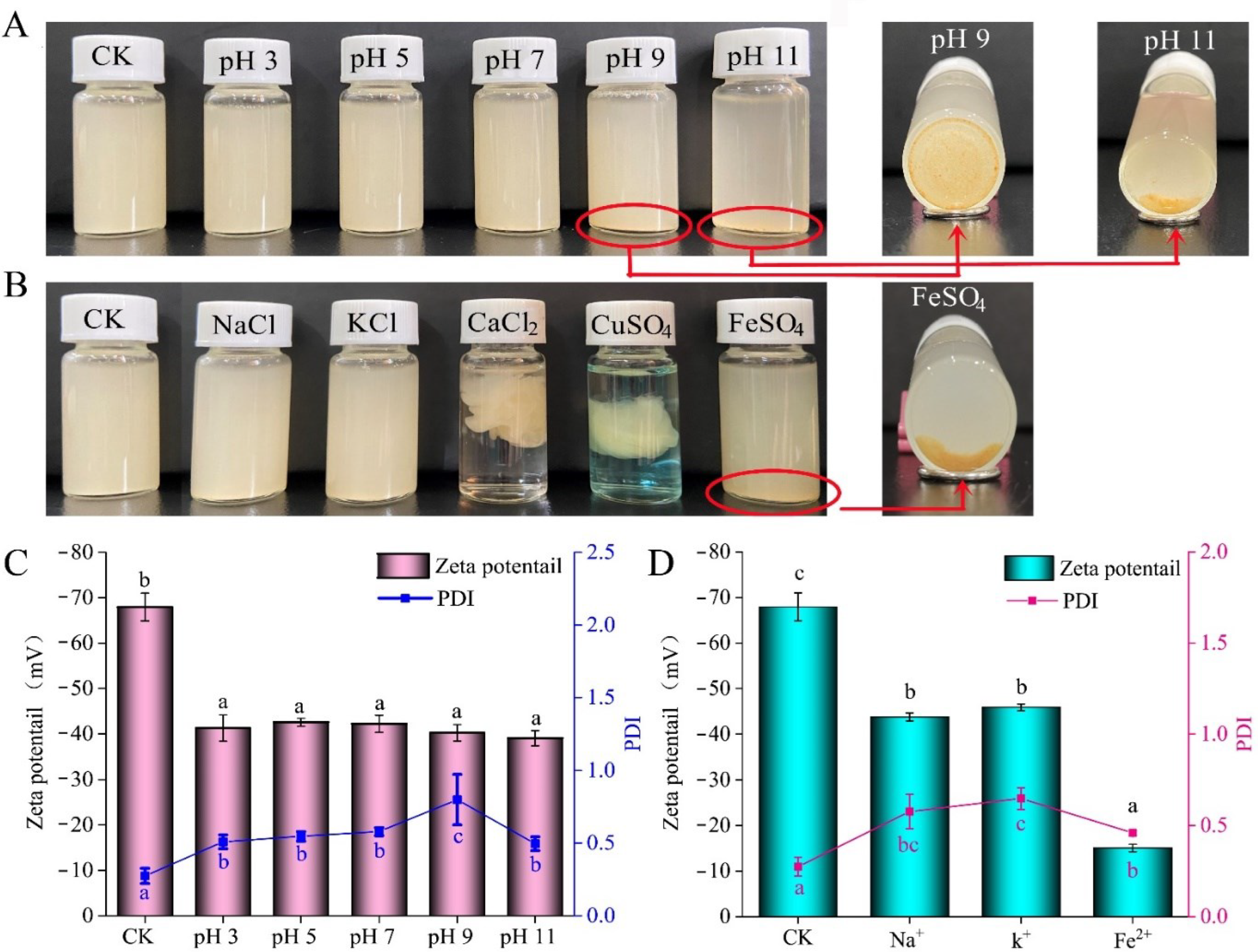 Ijms 23 09386 g005 550