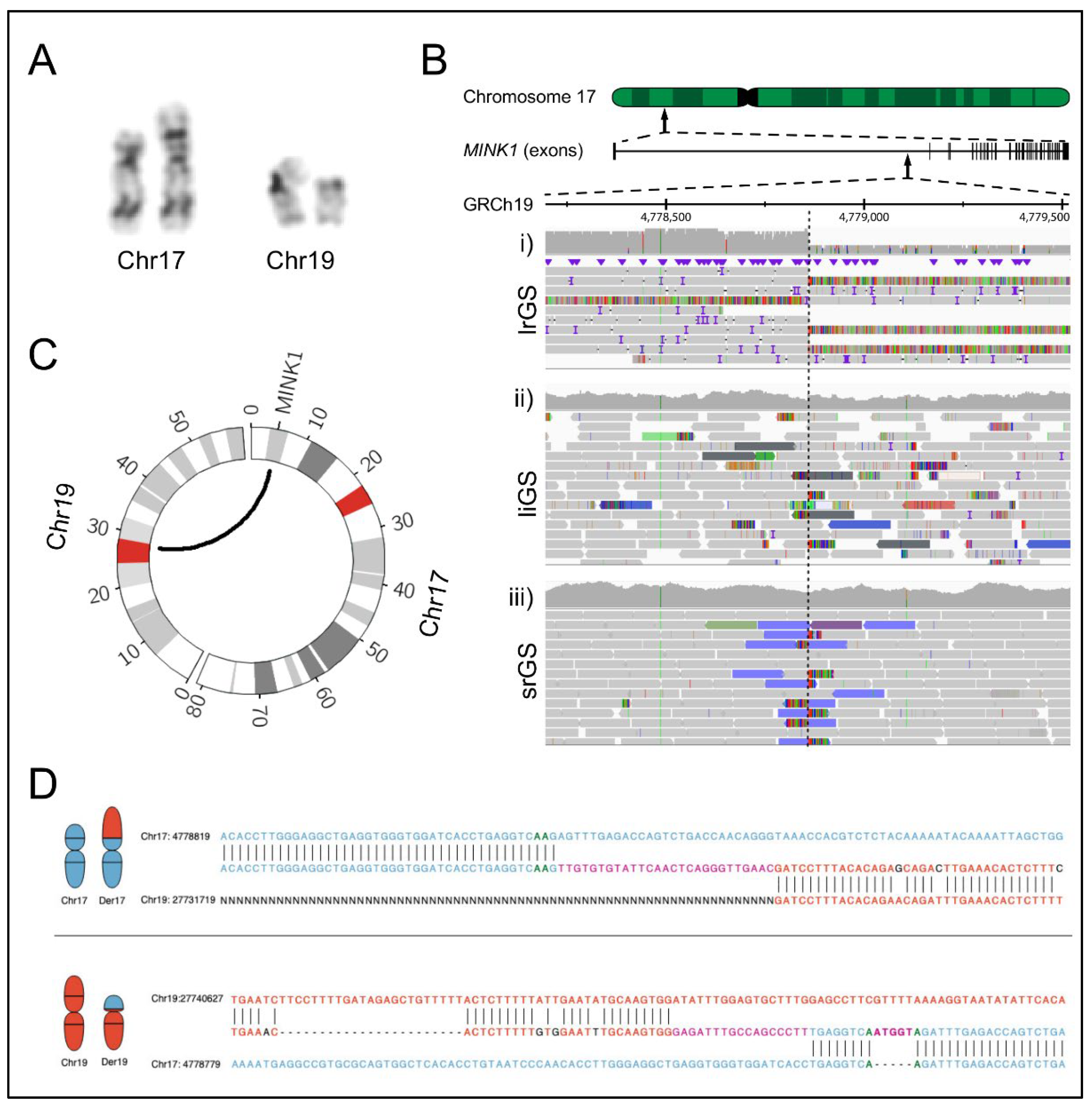 Ijms 23 09392 g001 550