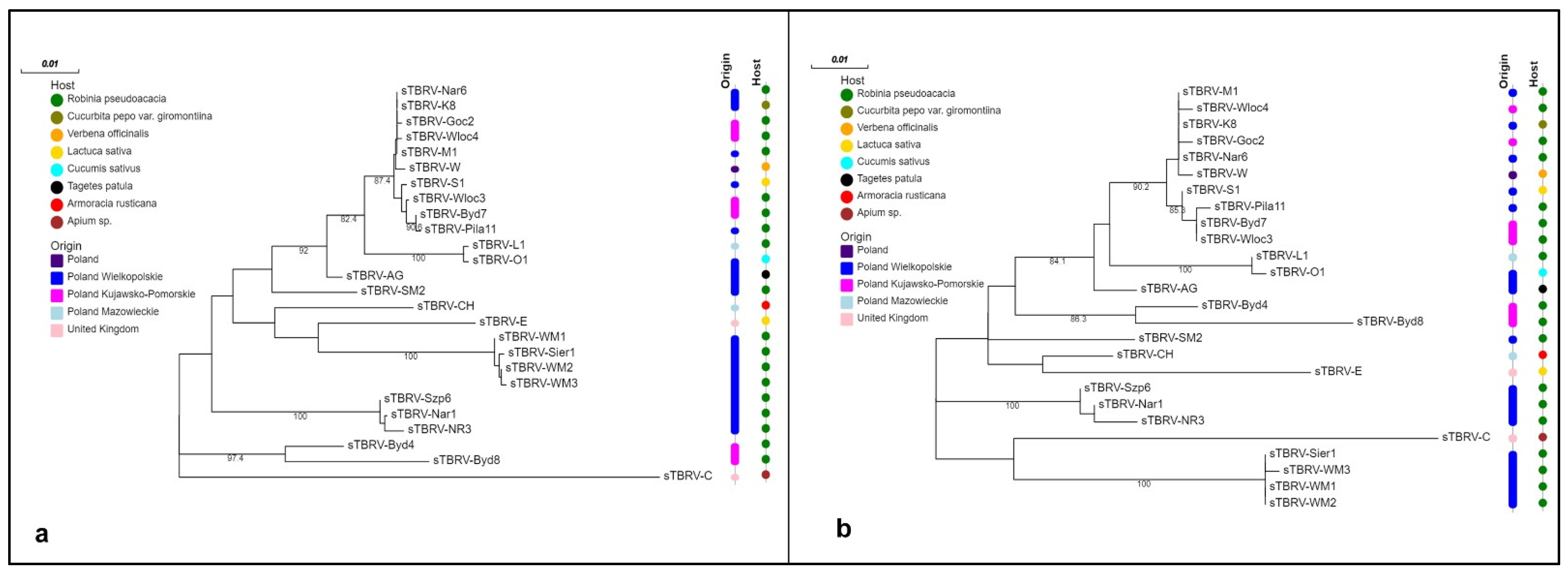 Ijms 23 09393 g001 Ijms 23 09393 g001