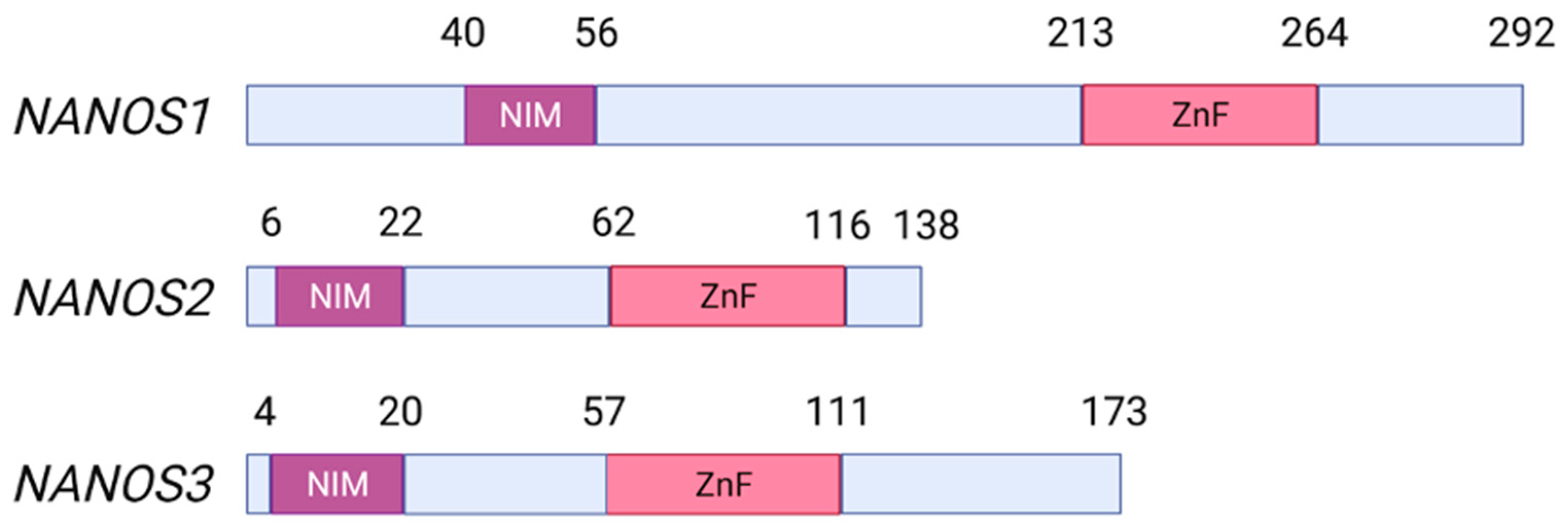 Ijms 23 09408 g001 550