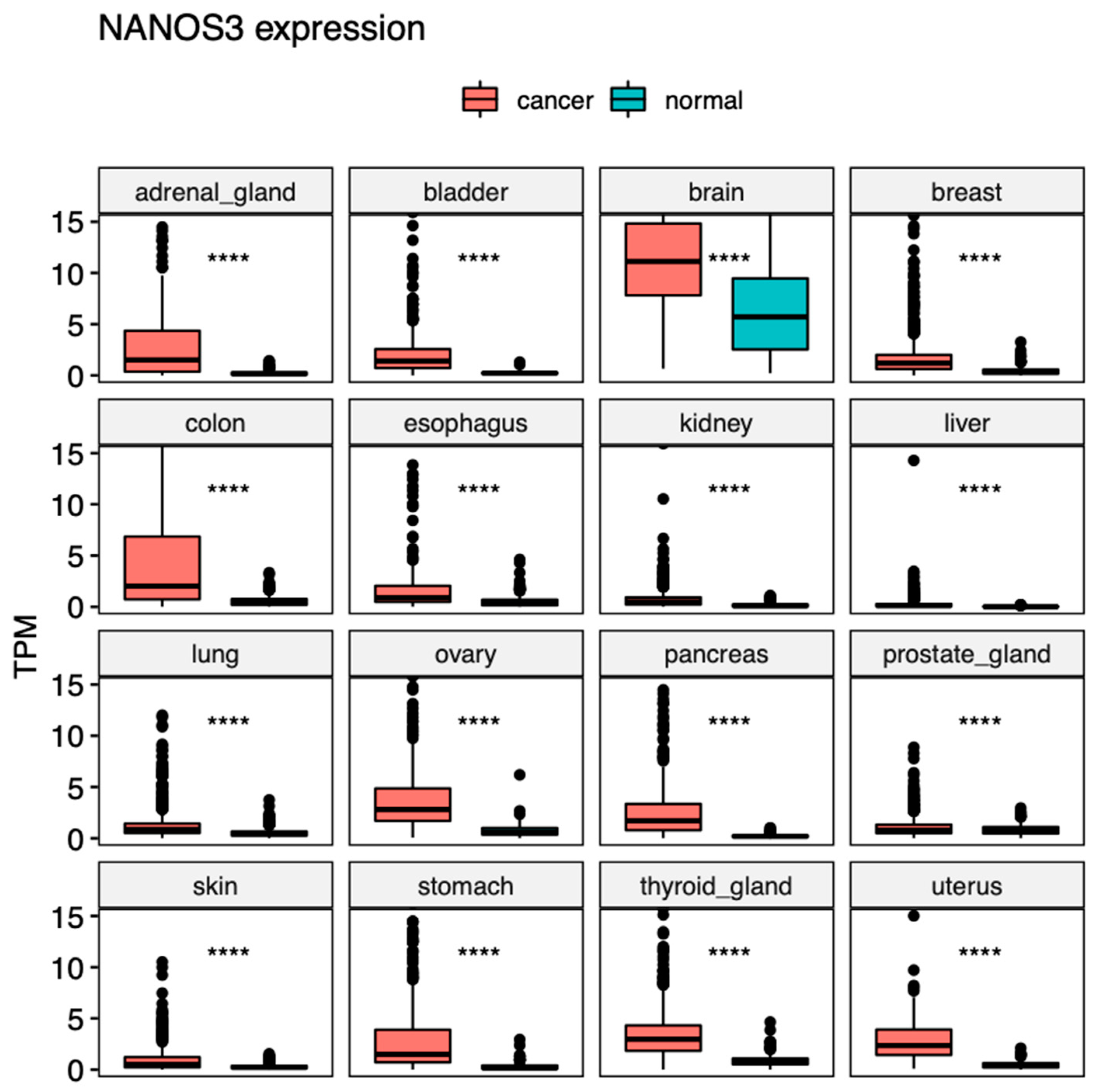 Ijms 23 09408 g004 550