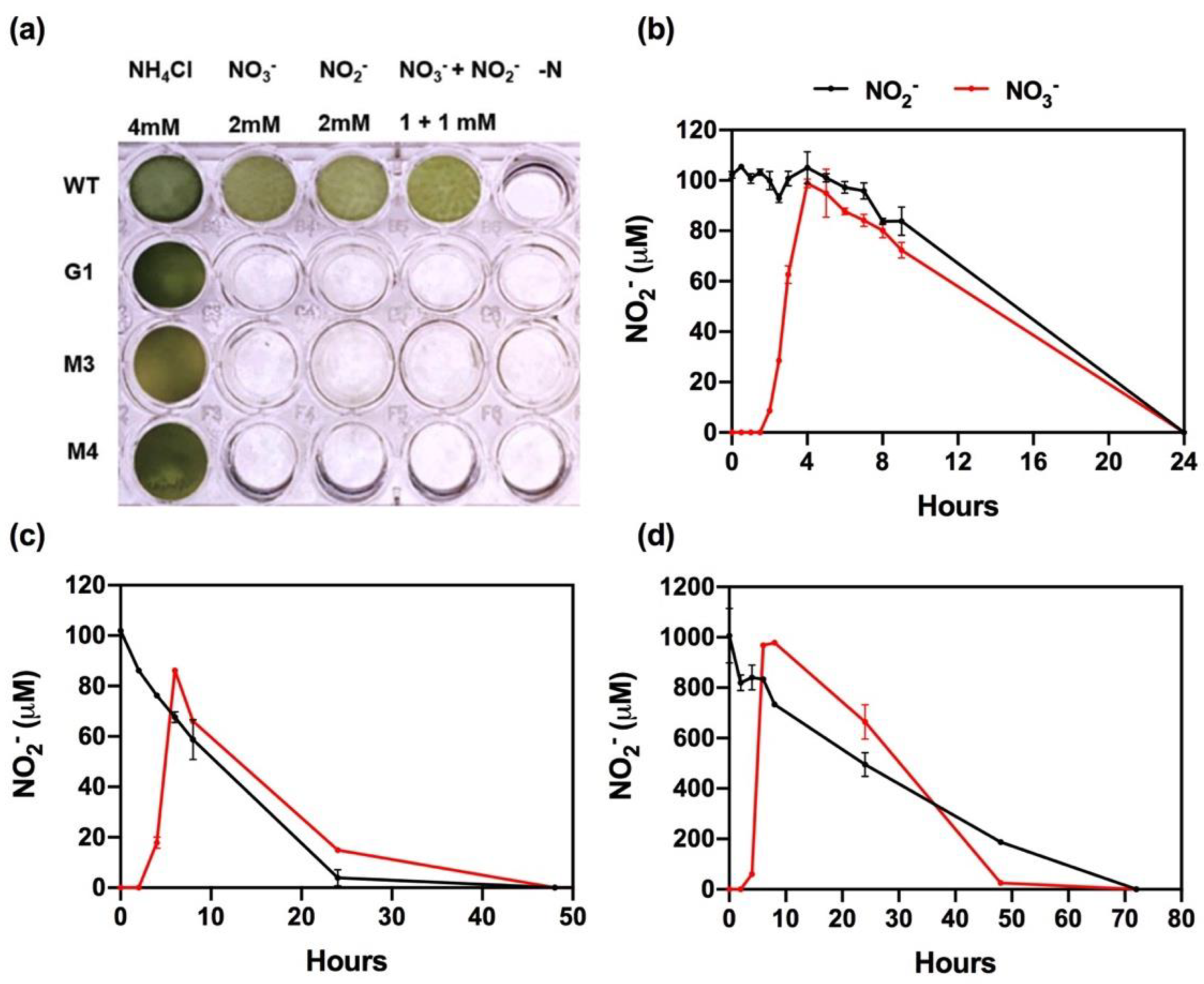 Ijms 23 09412 g001 550