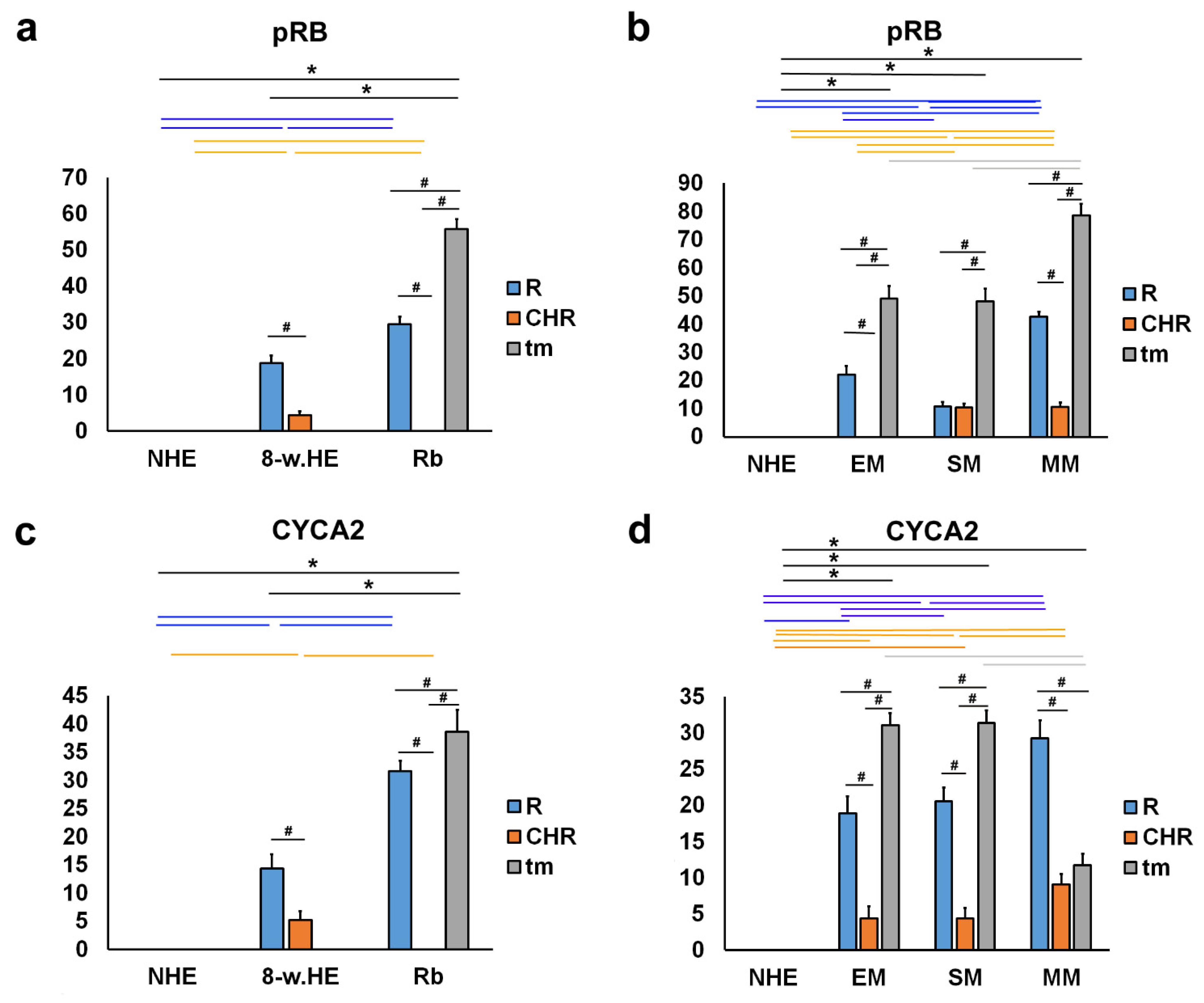 Ijms 23 09421 g007 Ijms 23 09421 g007