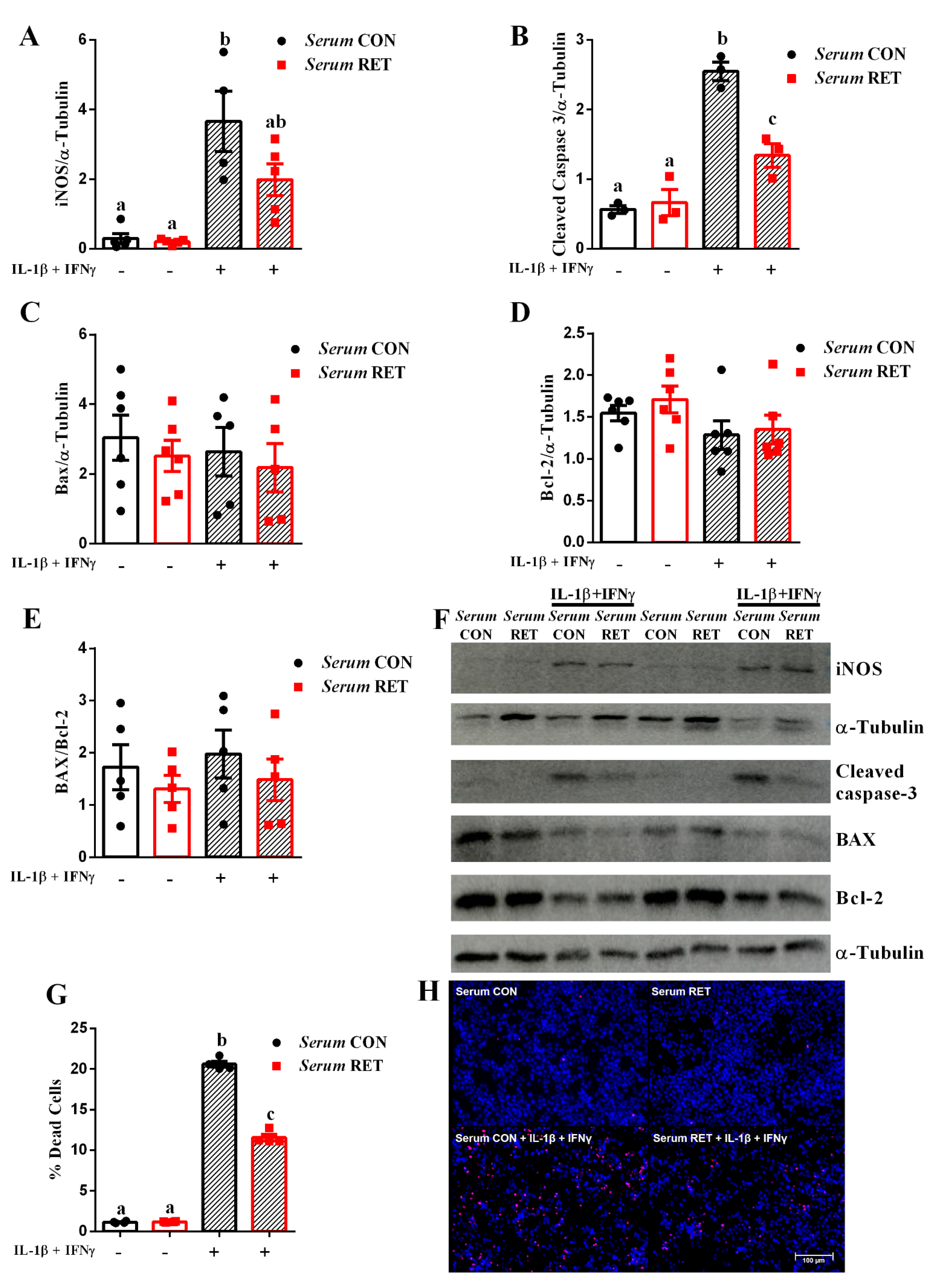 Ijms 23 09427 g002 Ijms 23 09427 g002