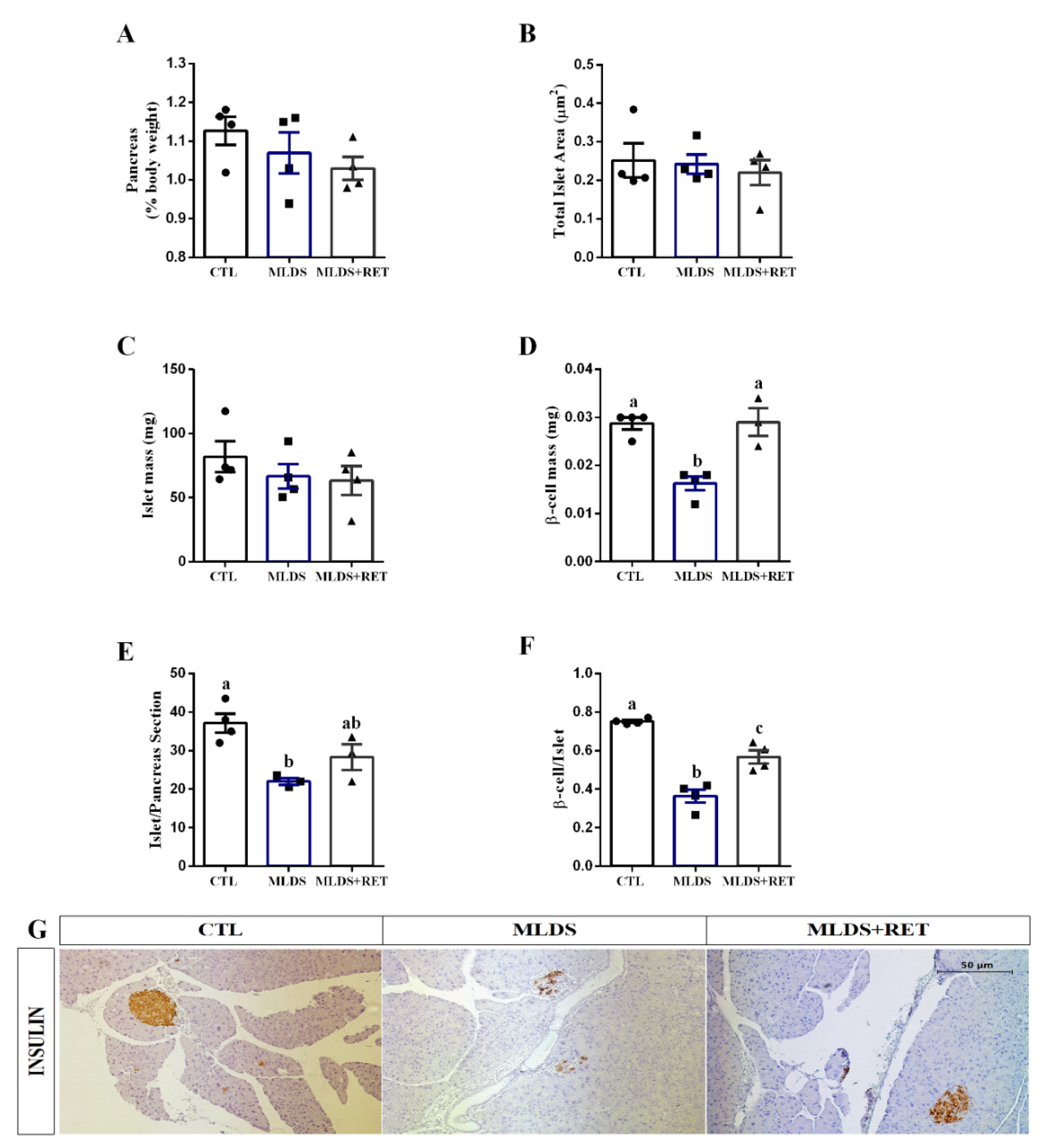 Ijms 23 09427 g005 Ijms 23 09427 g005