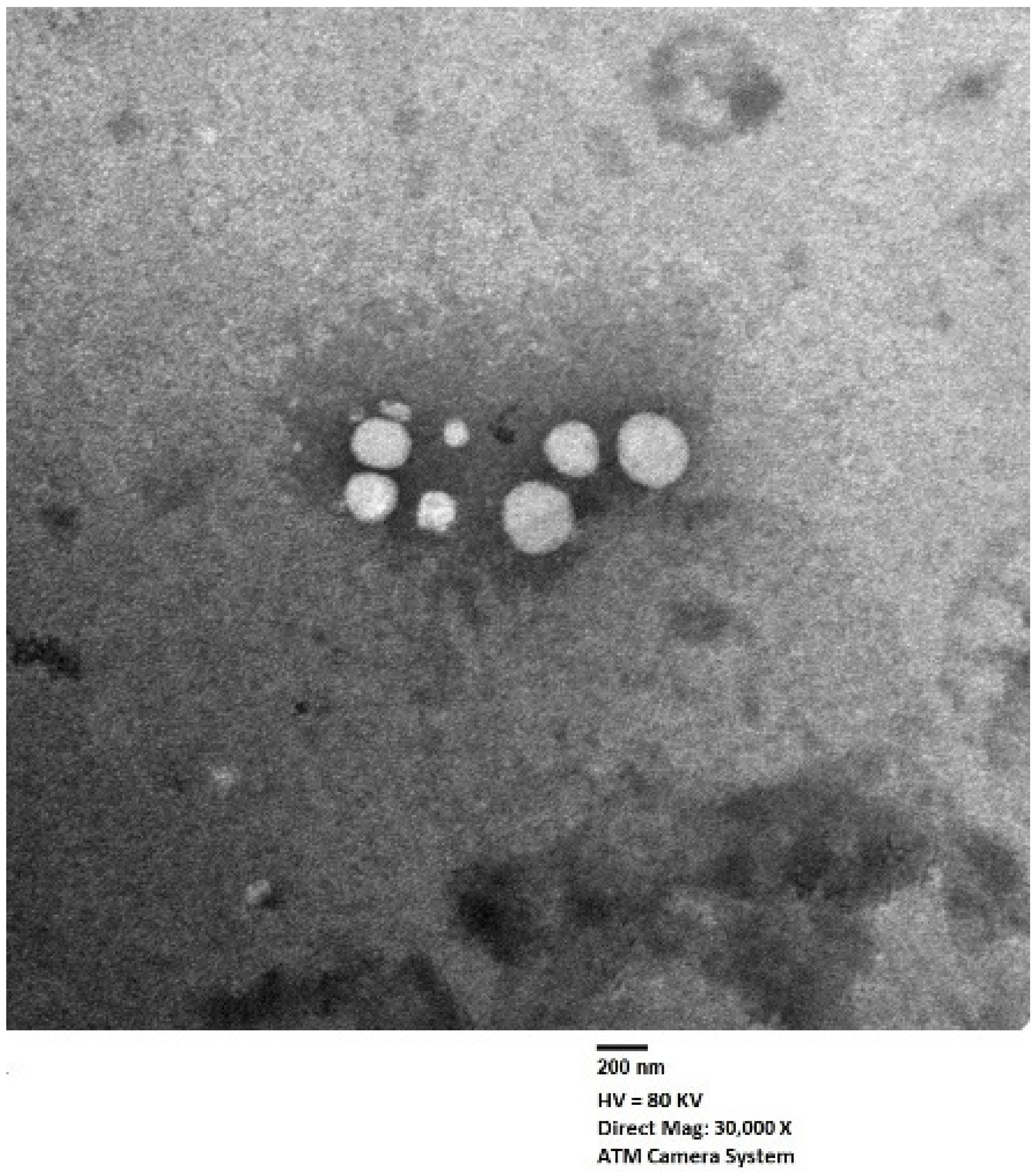 Ijms 23 09440 g007 Ijms 23 09440 g007