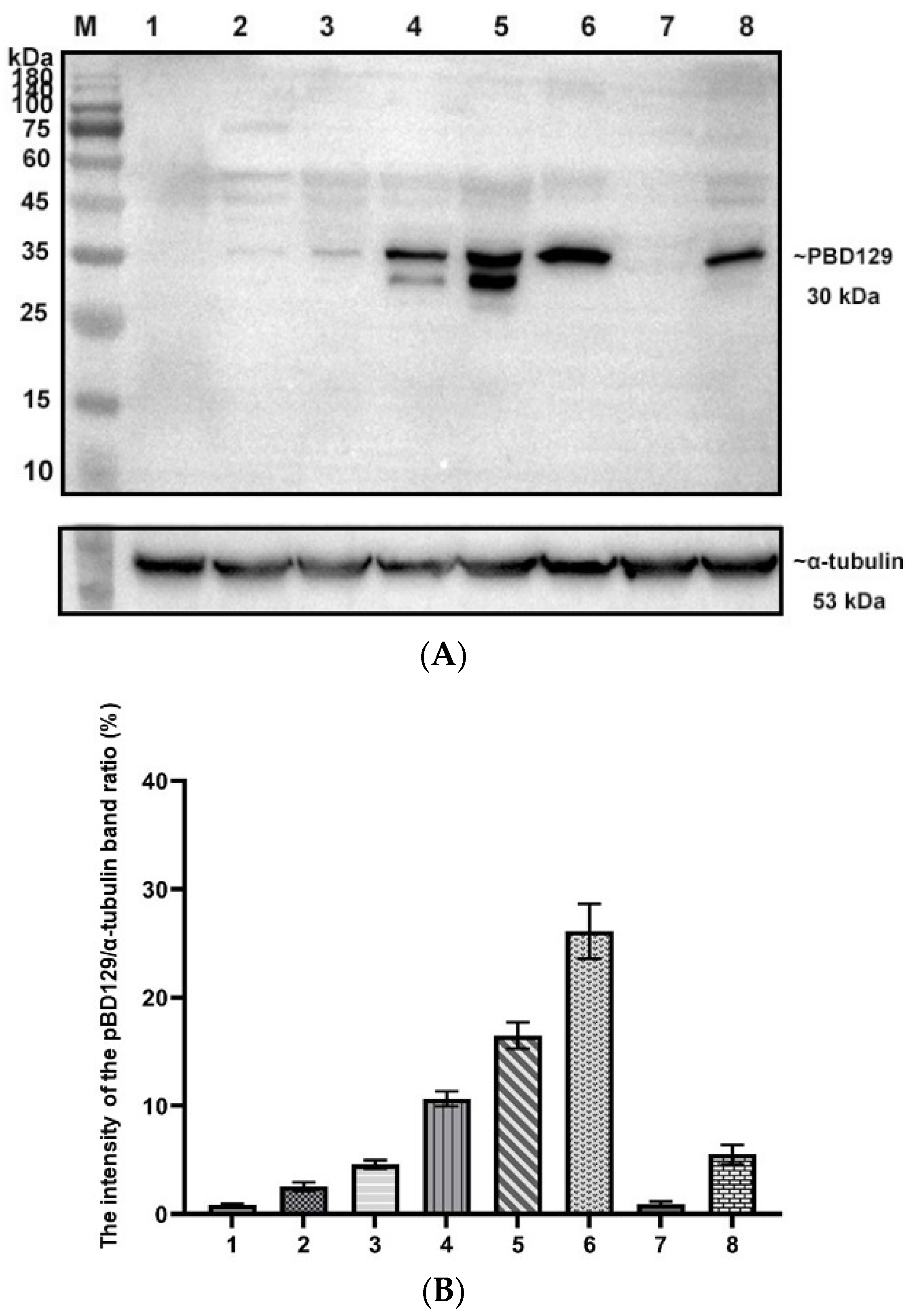 Ijms 23 09441 g004 Ijms 23 09441 g004