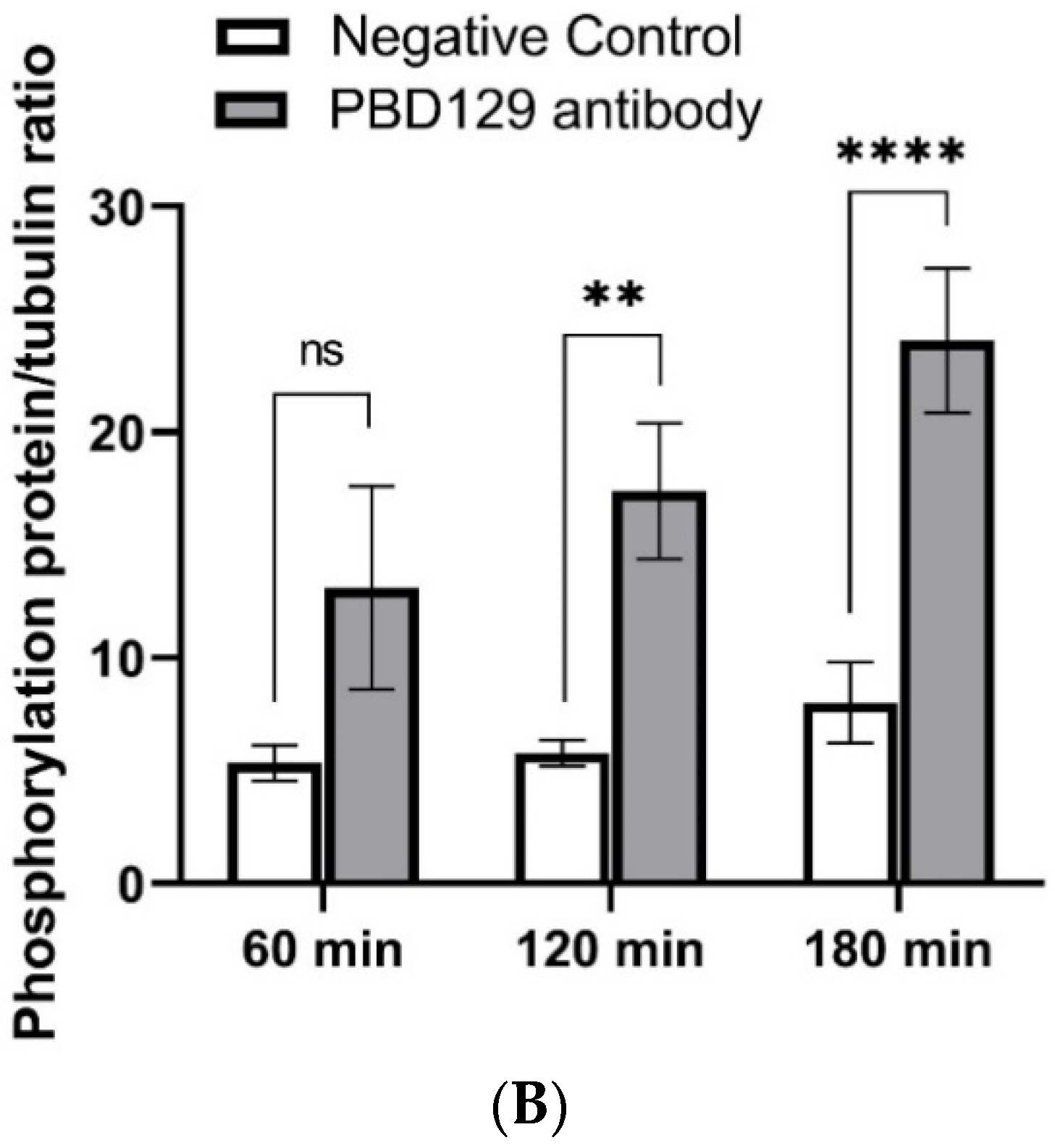 Ijms 23 09441 g008b Ijms 23 09441 g008b