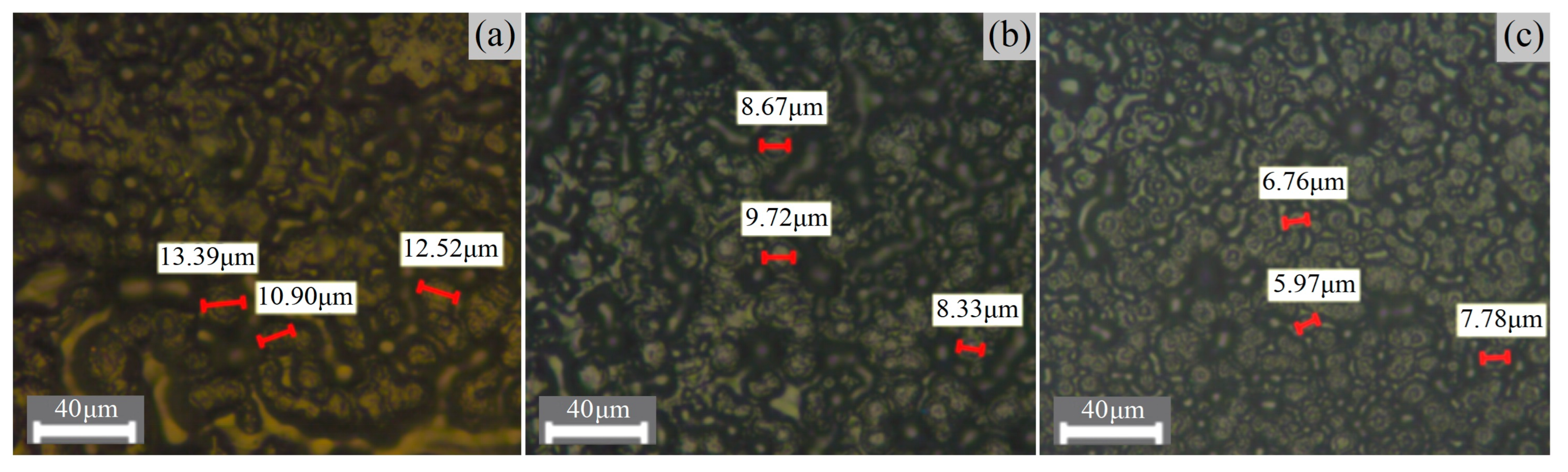 Ijms 23 09450 g004 550