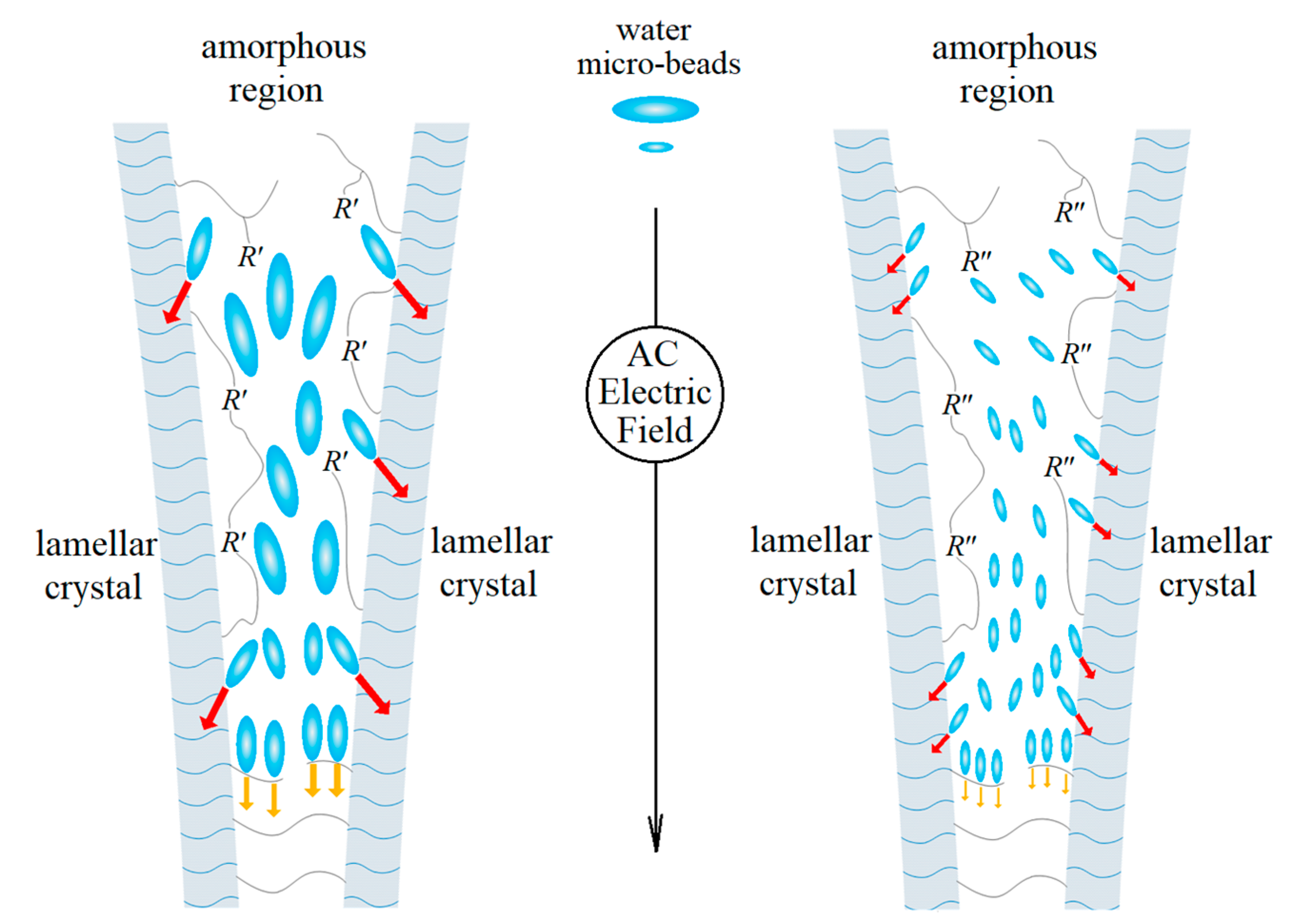 Ijms 23 09450 g008 550