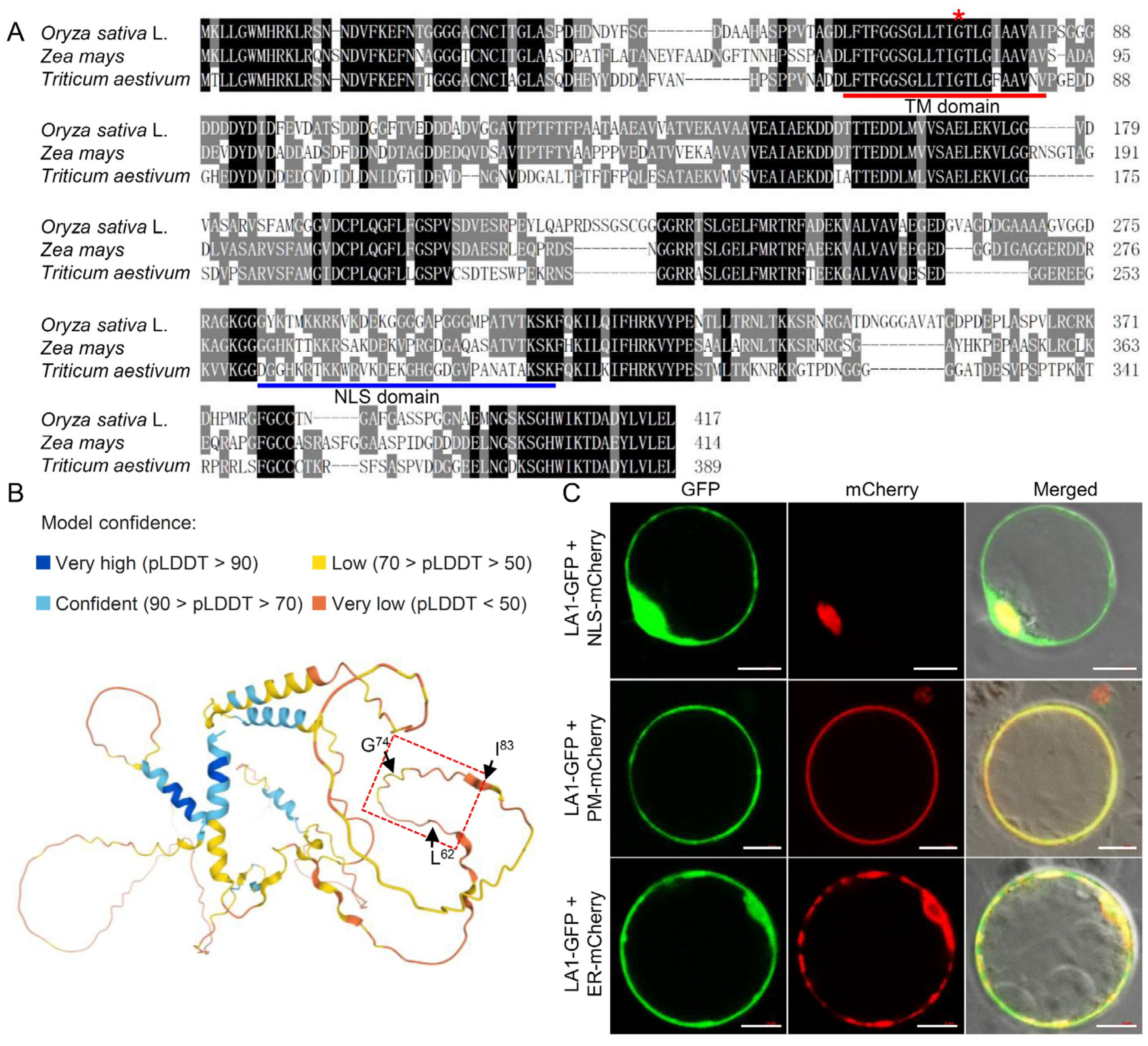 Ijms 23 09452 g003 550