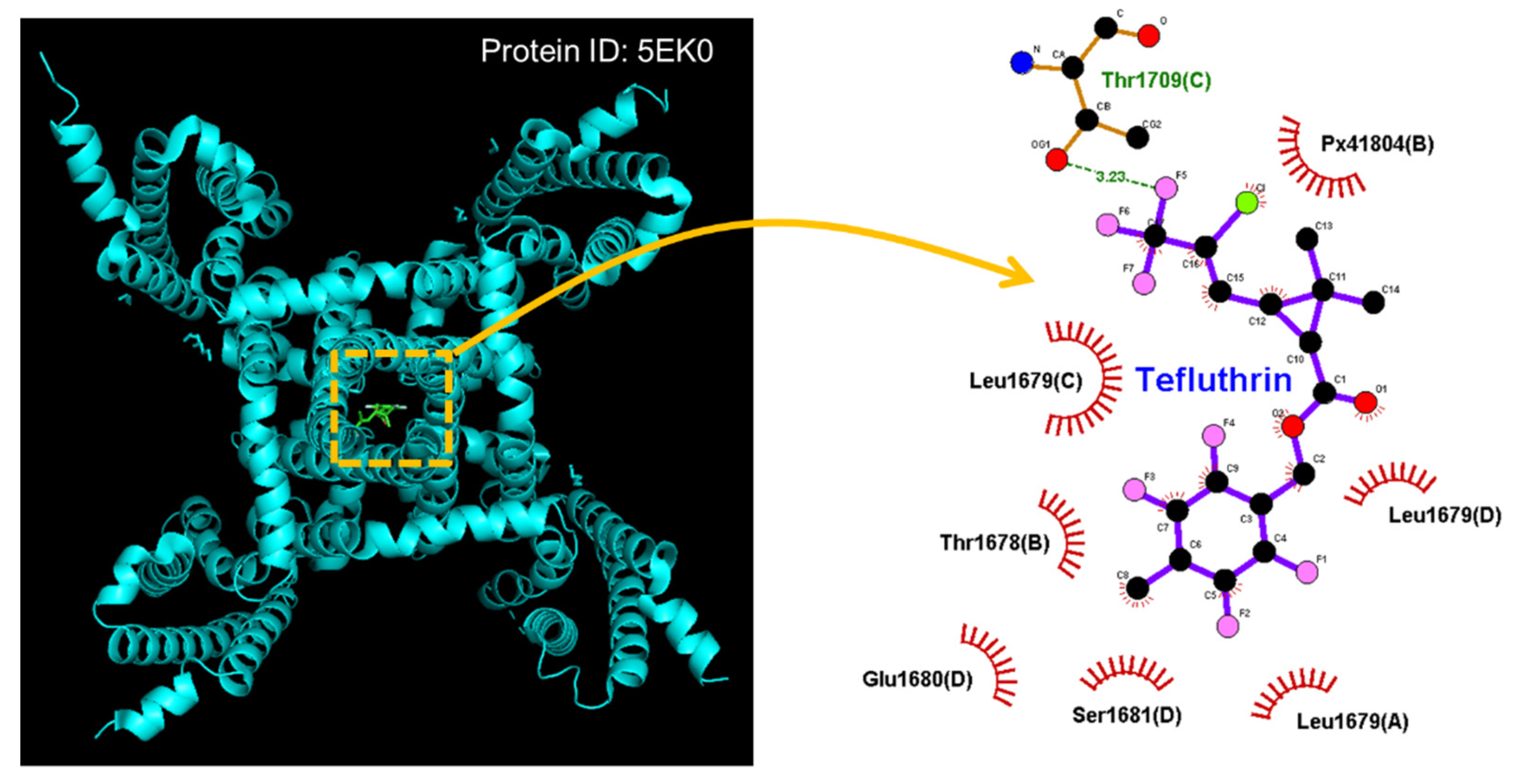 Ijms 23 09453 g002 550