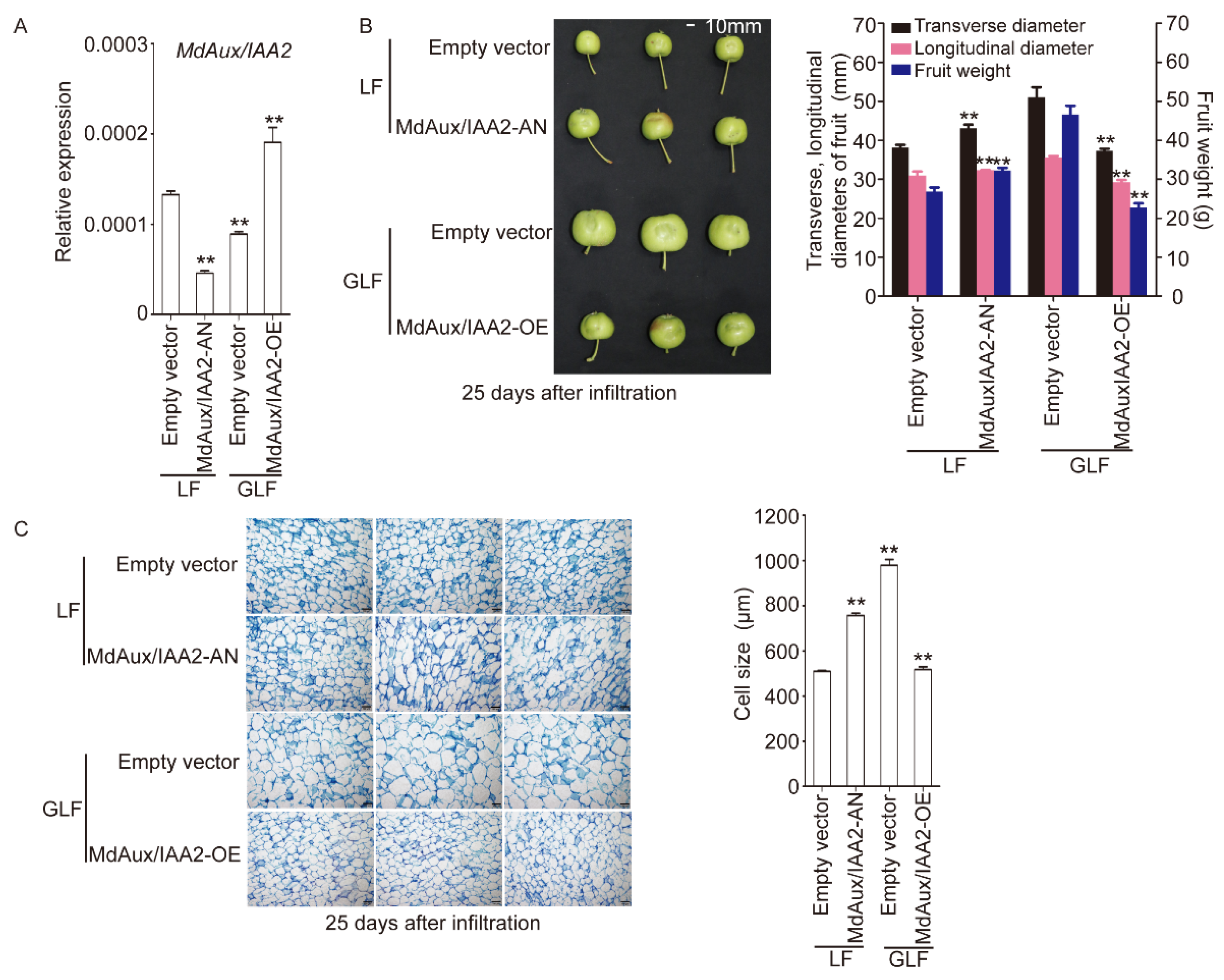 Ijms 23 09454 g005 550