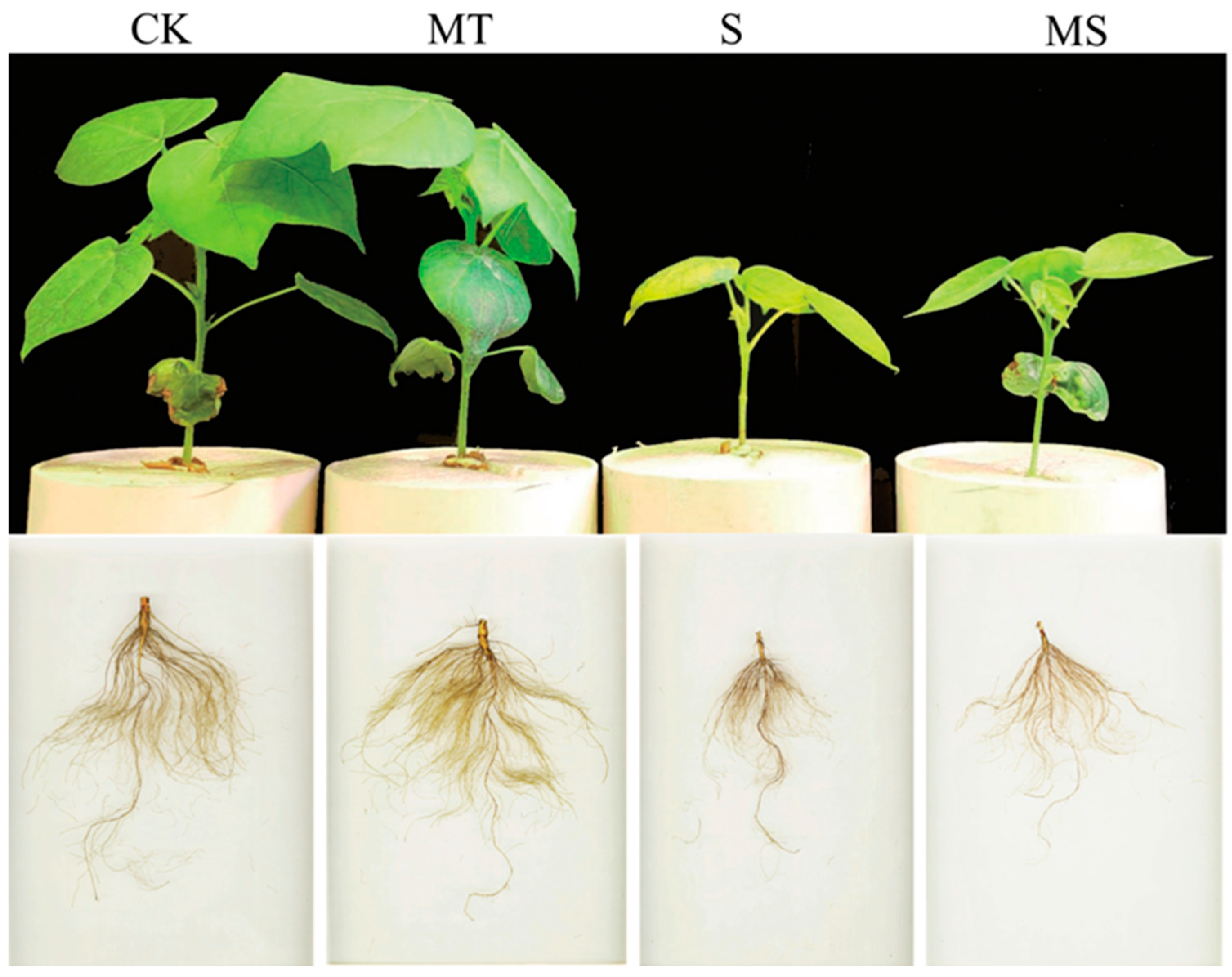 Ijms 23 09456 g001 550