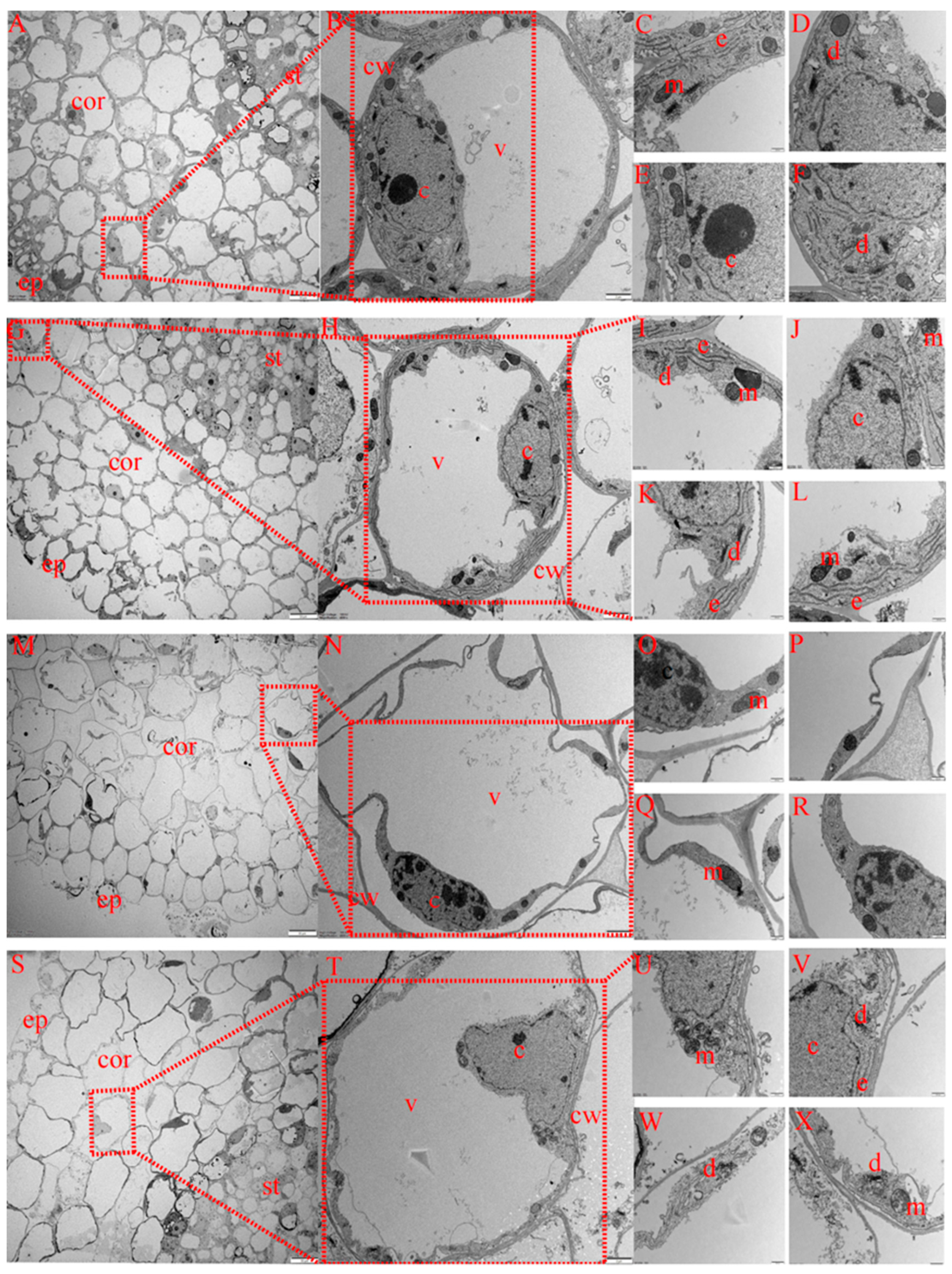 Ijms 23 09456 g007 550