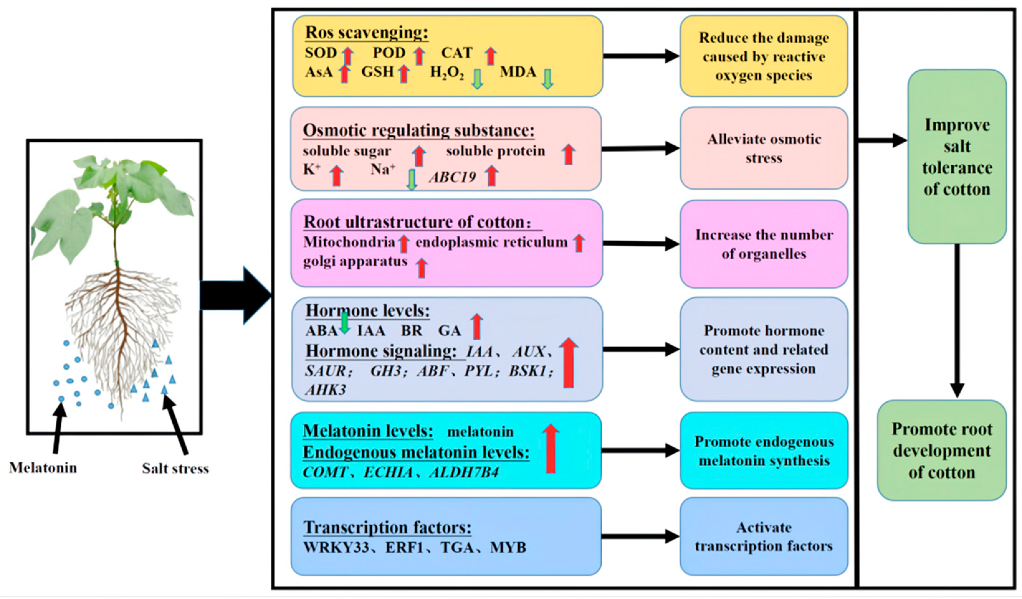 Ijms 23 09456 g011 550