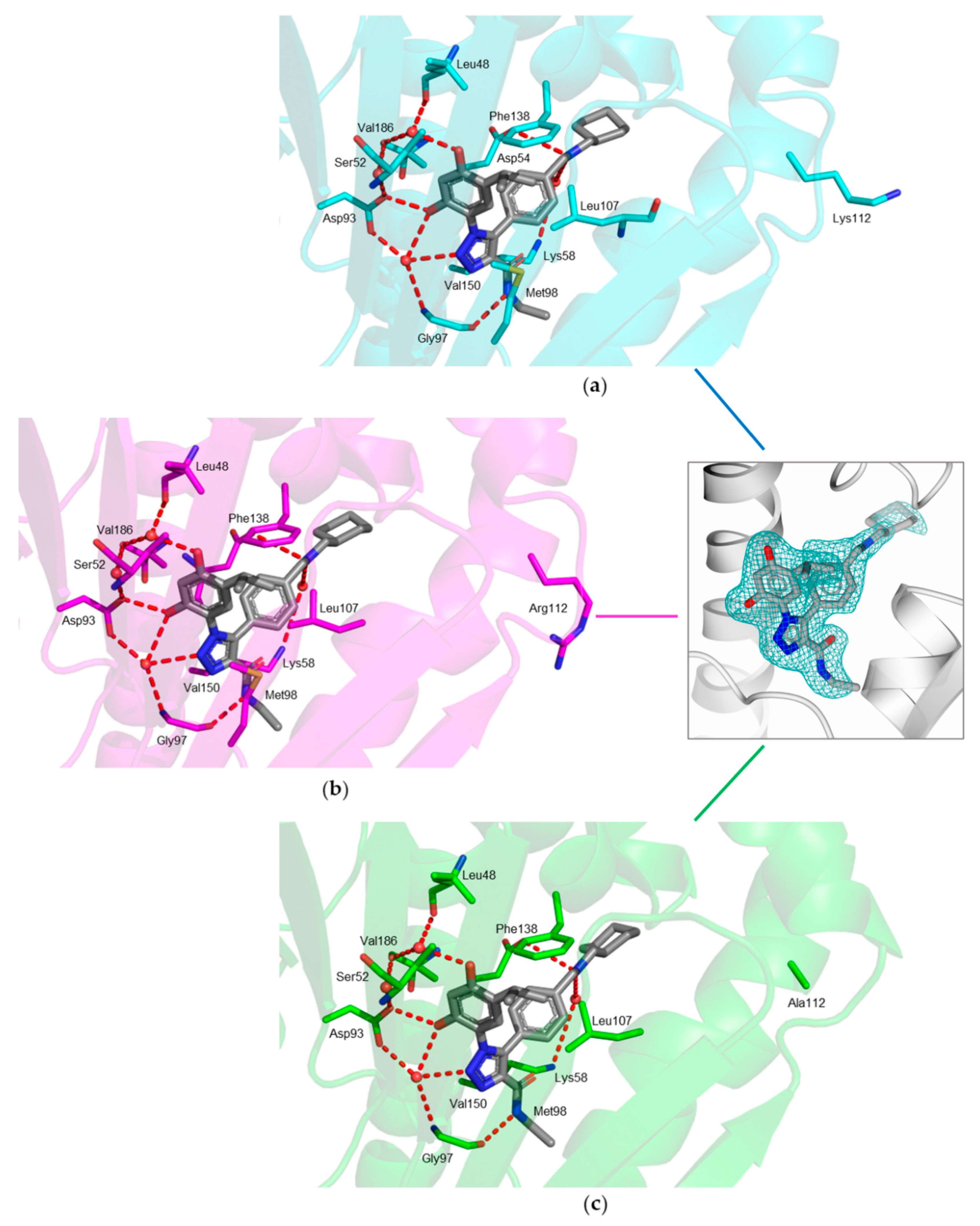 Ijms 23 09458 g002 550