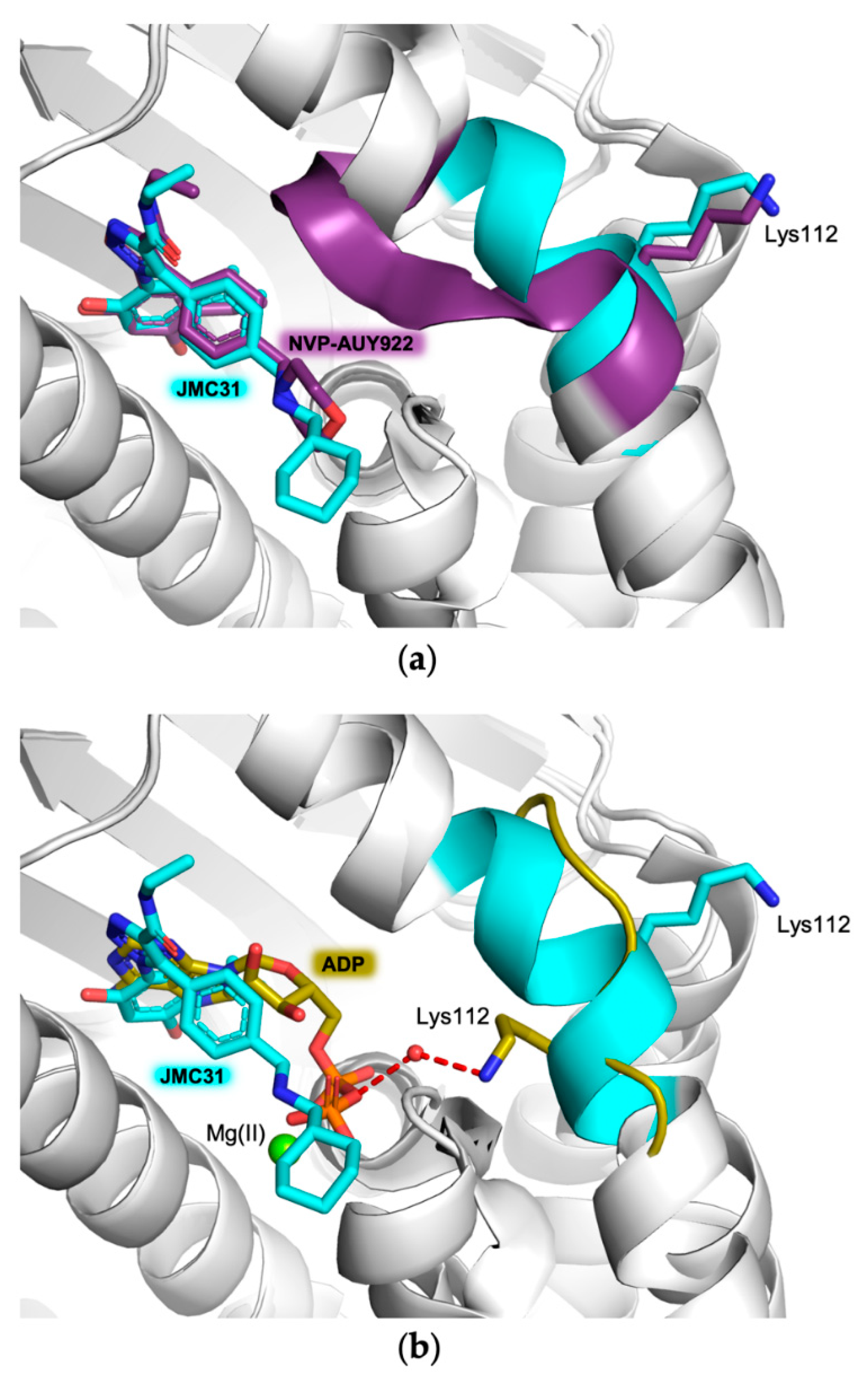 Ijms 23 09458 g003 550