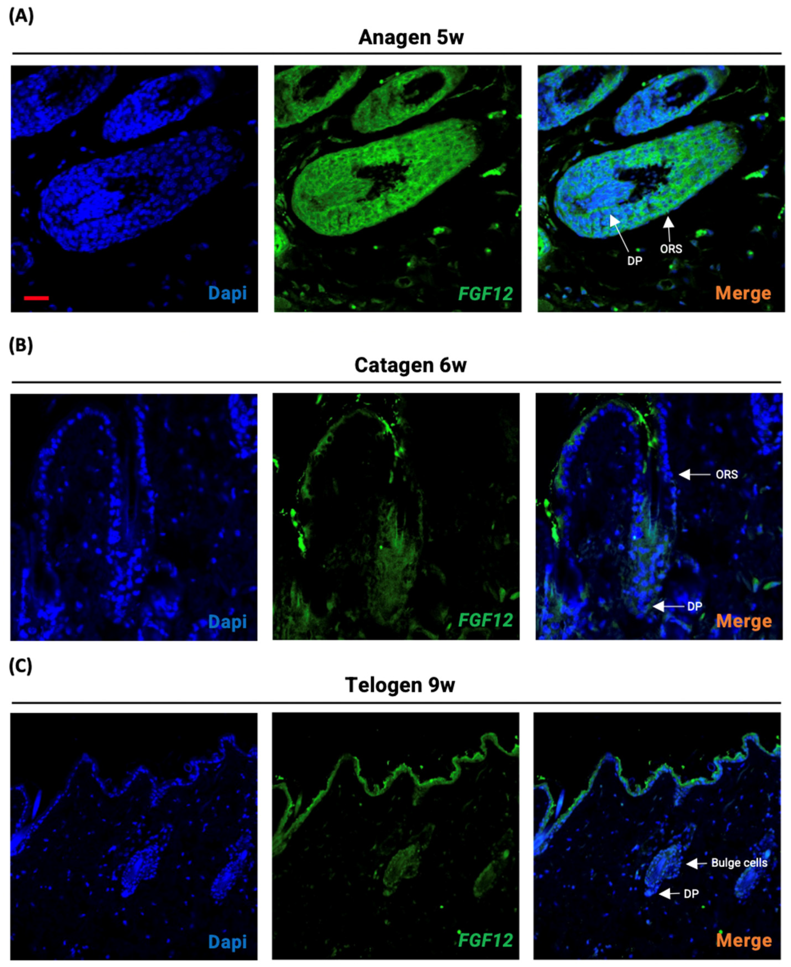 Ijms 23 09467 g001 550