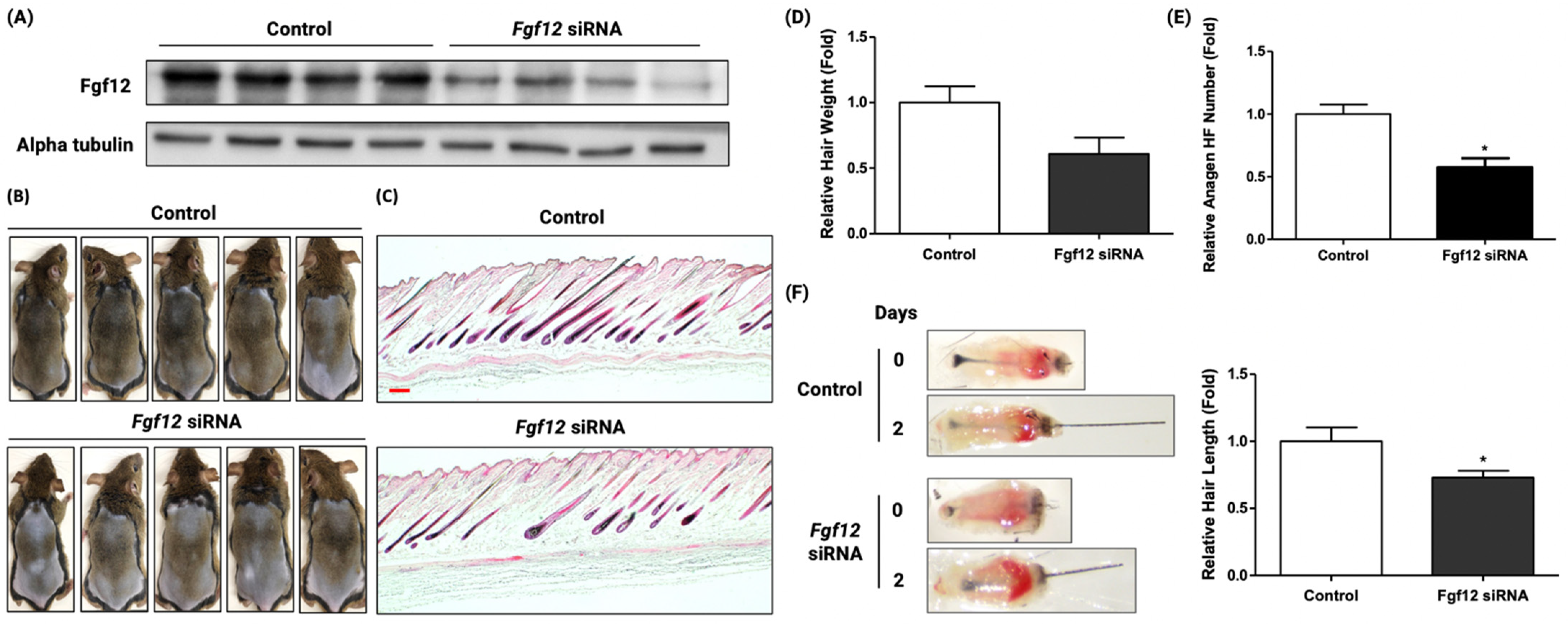 Ijms 23 09467 g002 550