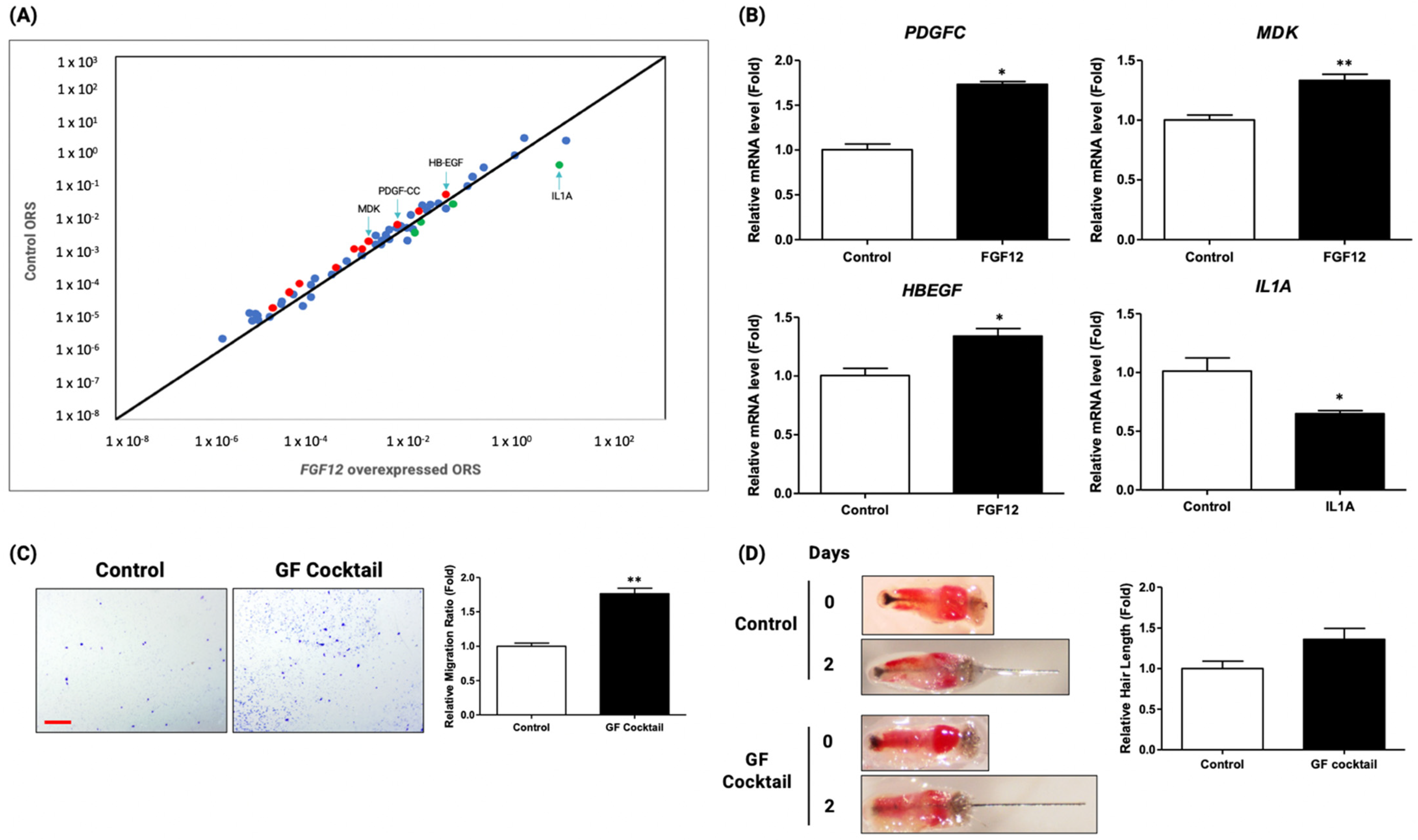 Ijms 23 09467 g006 550