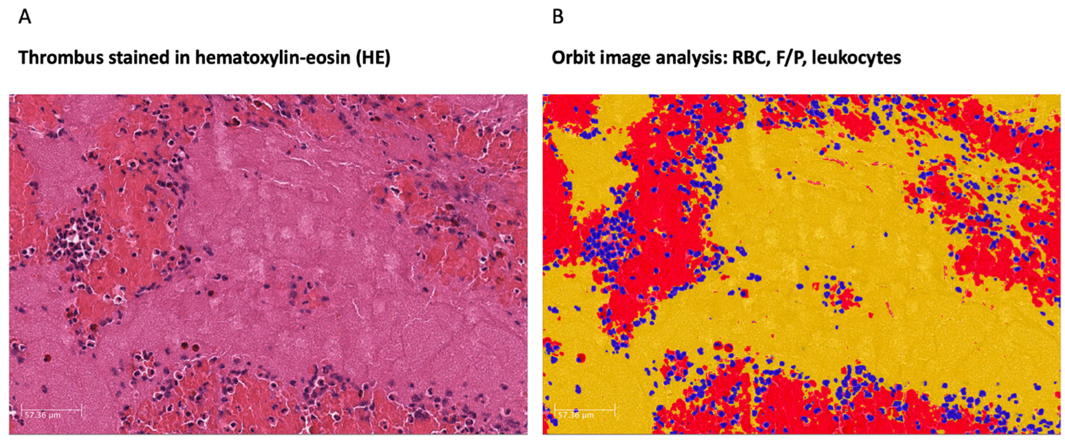 Ijms 23 09474 g005 550