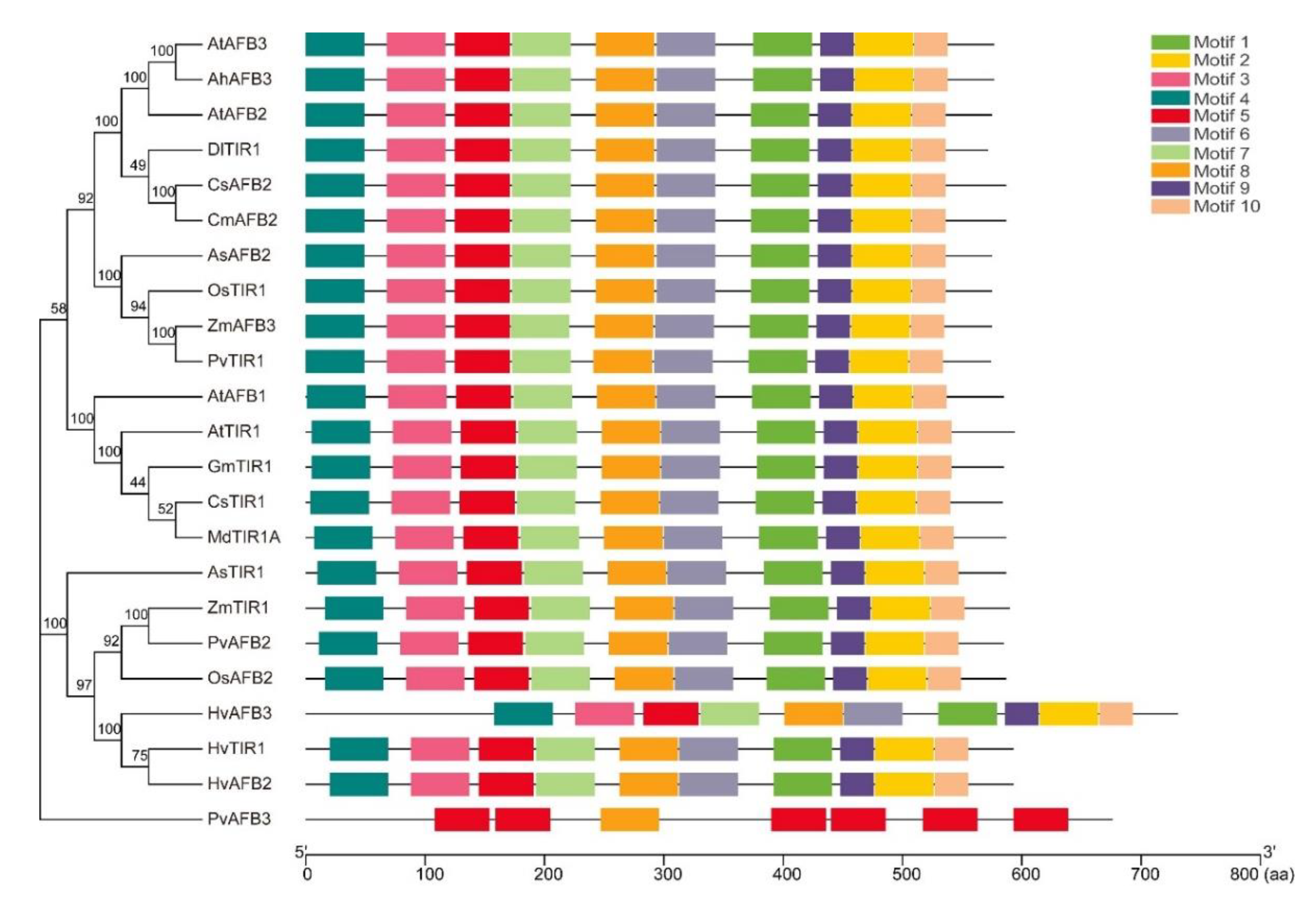 Ijms 23 09477 g002 550