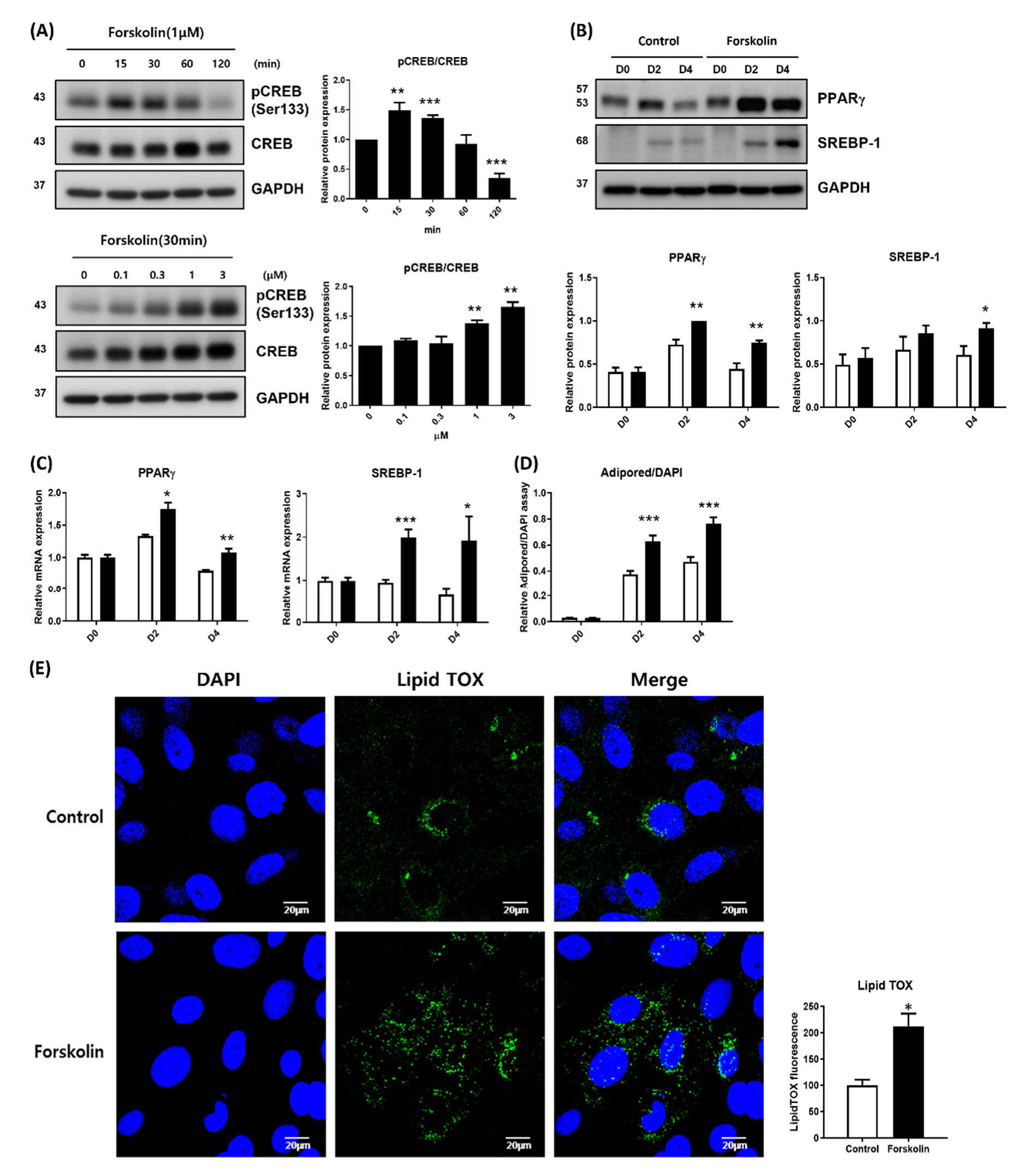 Ijms 23 09478 g001 550