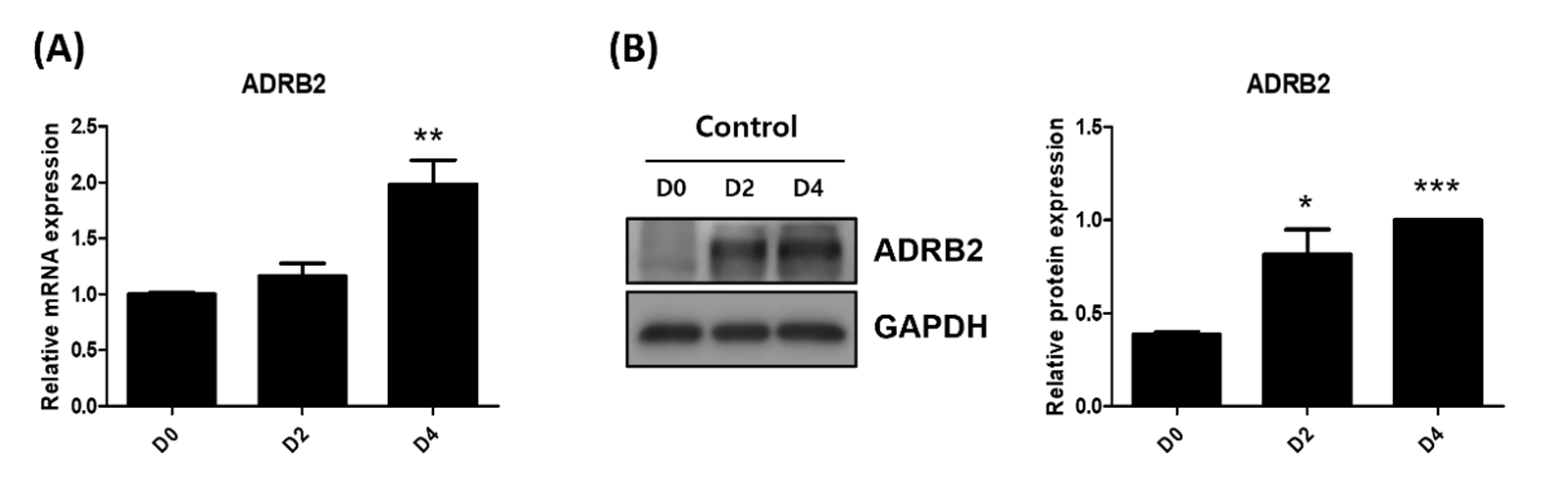 Ijms 23 09478 g002 550