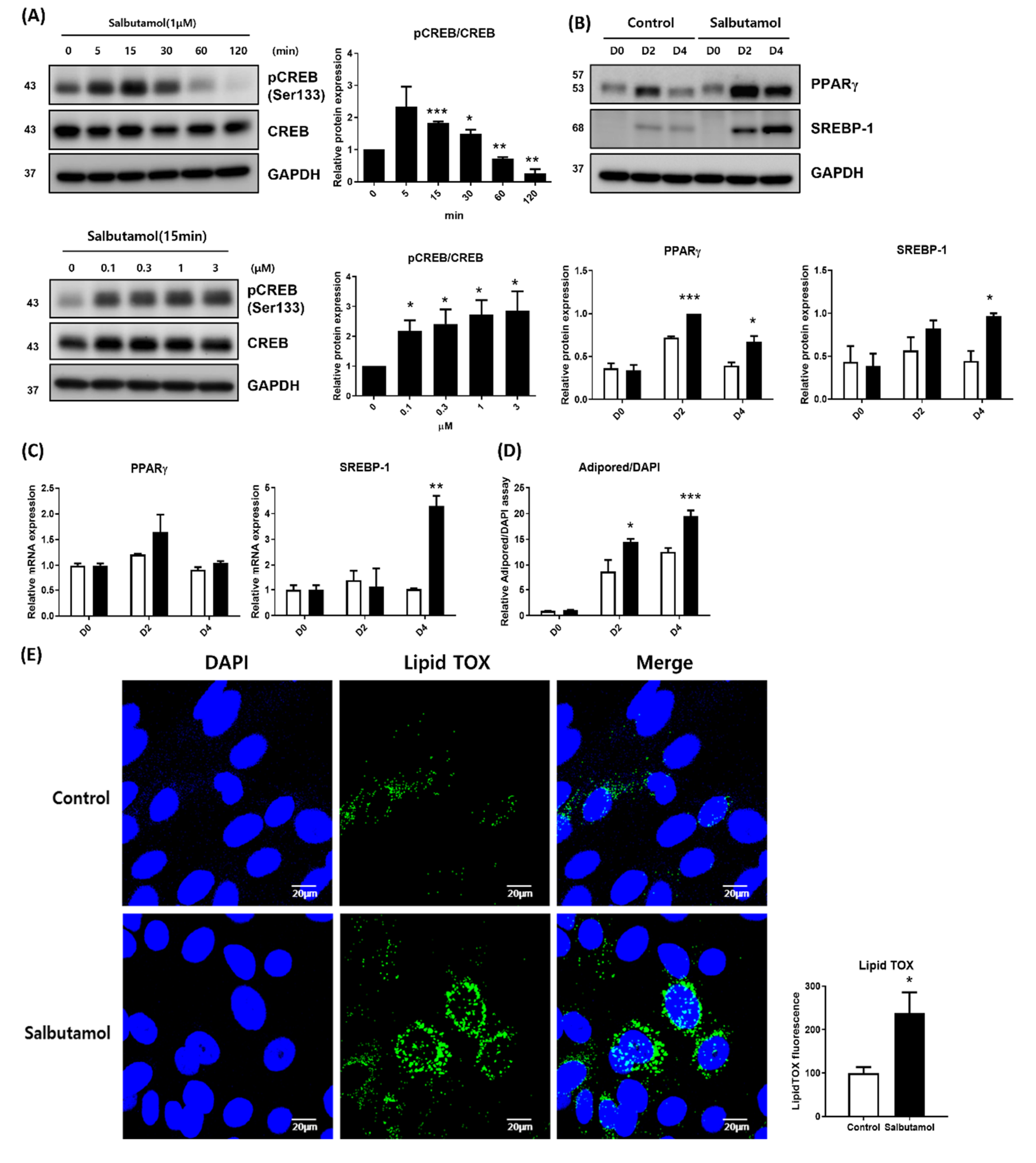 Ijms 23 09478 g003 550