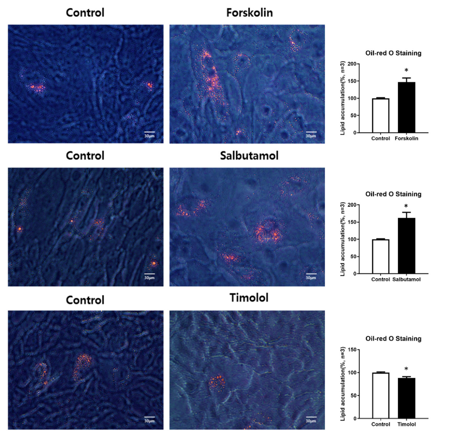 Ijms 23 09478 g005 550