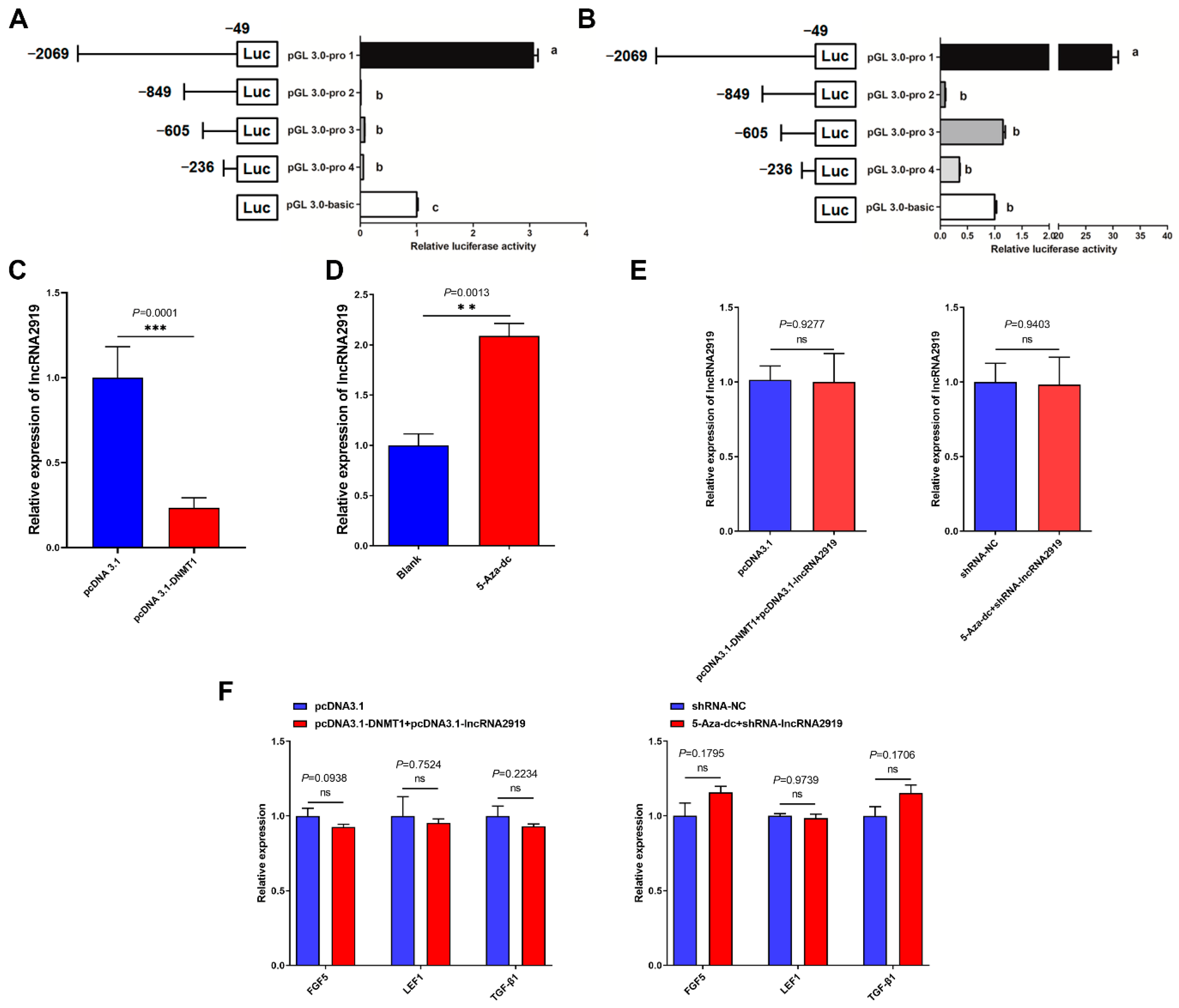 Ijms 23 09481 g004 550