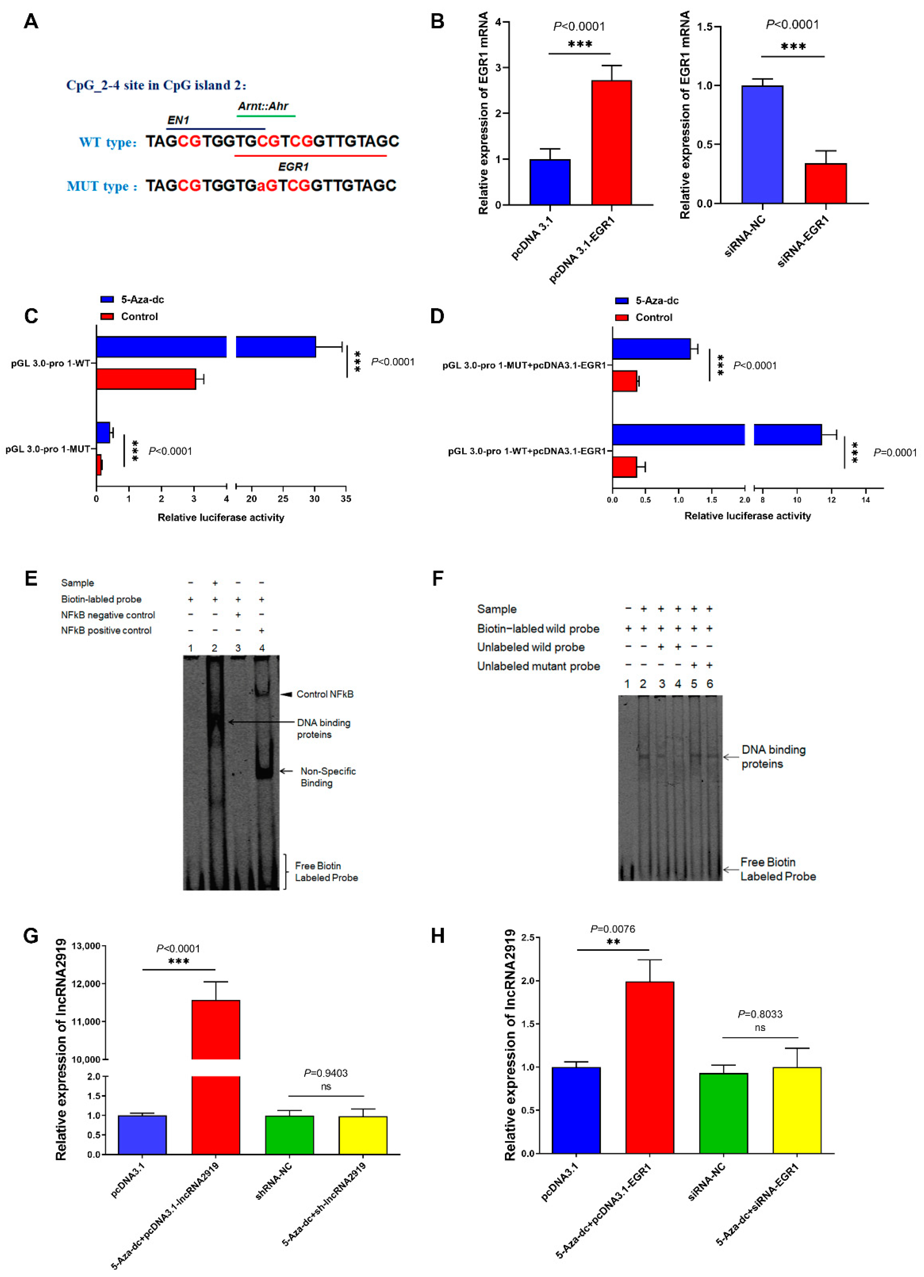 Ijms 23 09481 g005 550