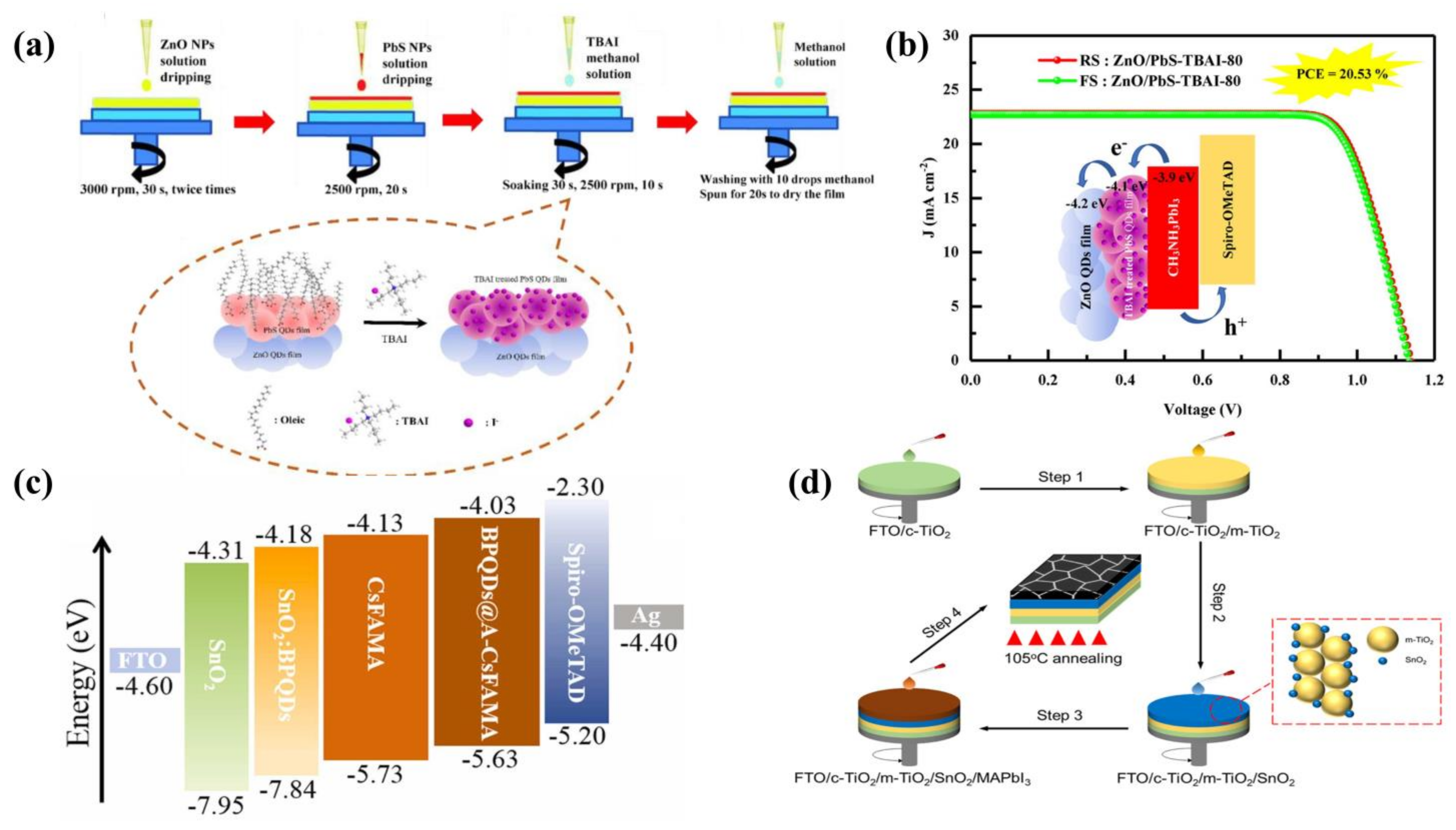 Ijms 23 09482 g004 550