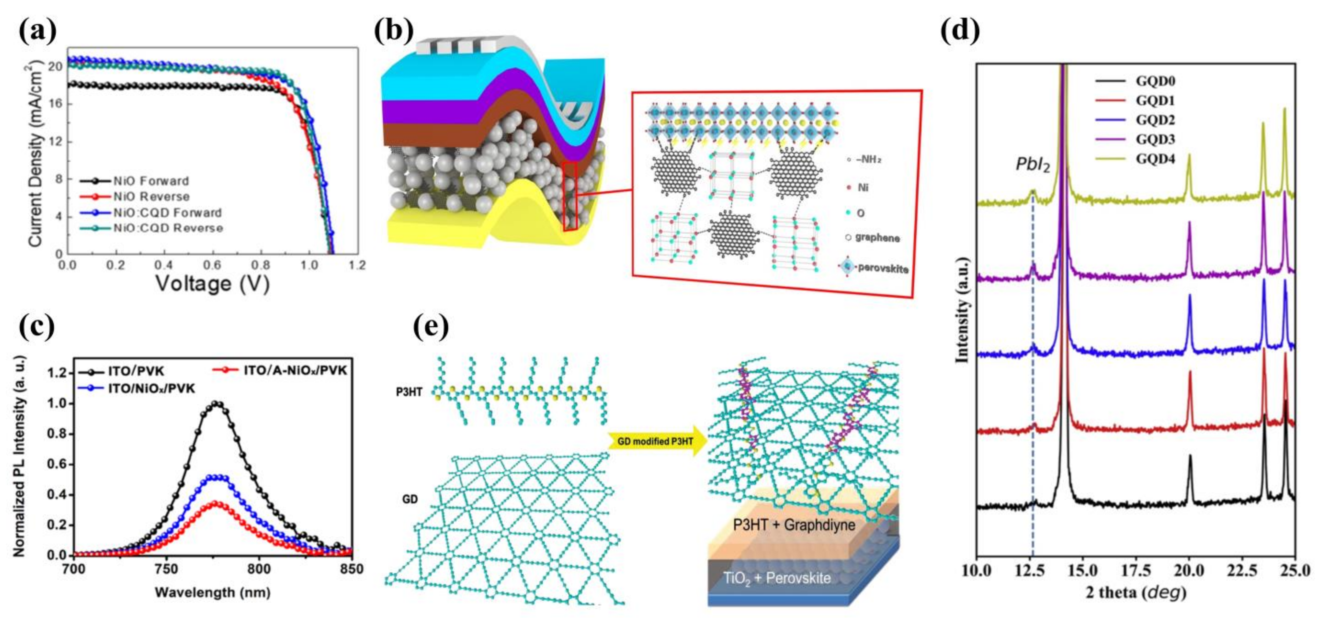 Ijms 23 09482 g007 550