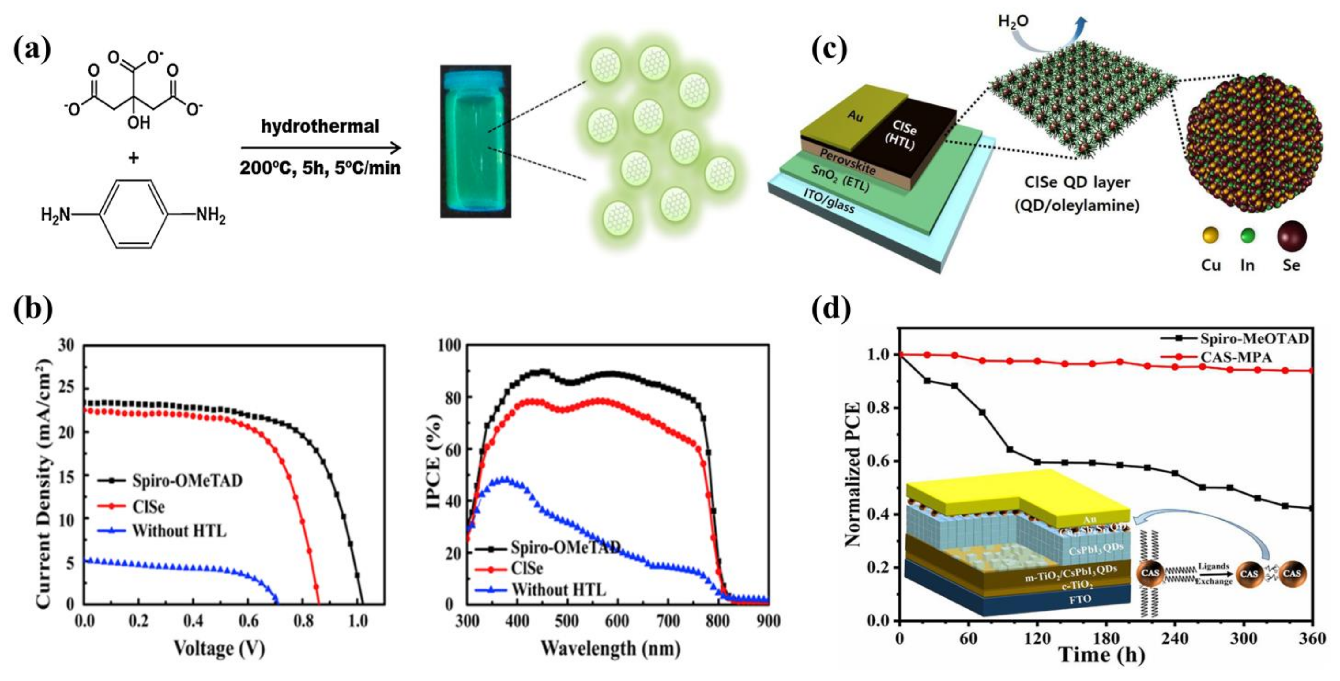 Ijms 23 09482 g009 550