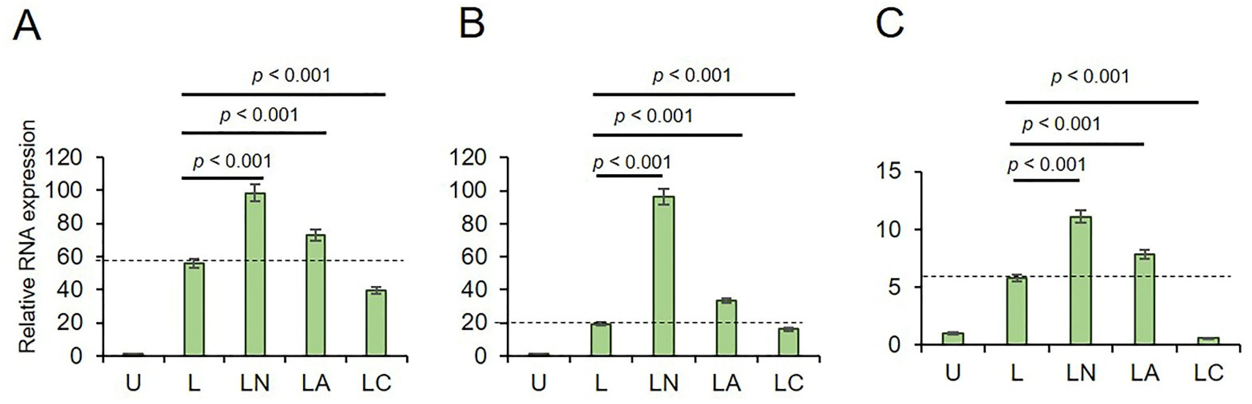 Ijms 23 09484 g002 550