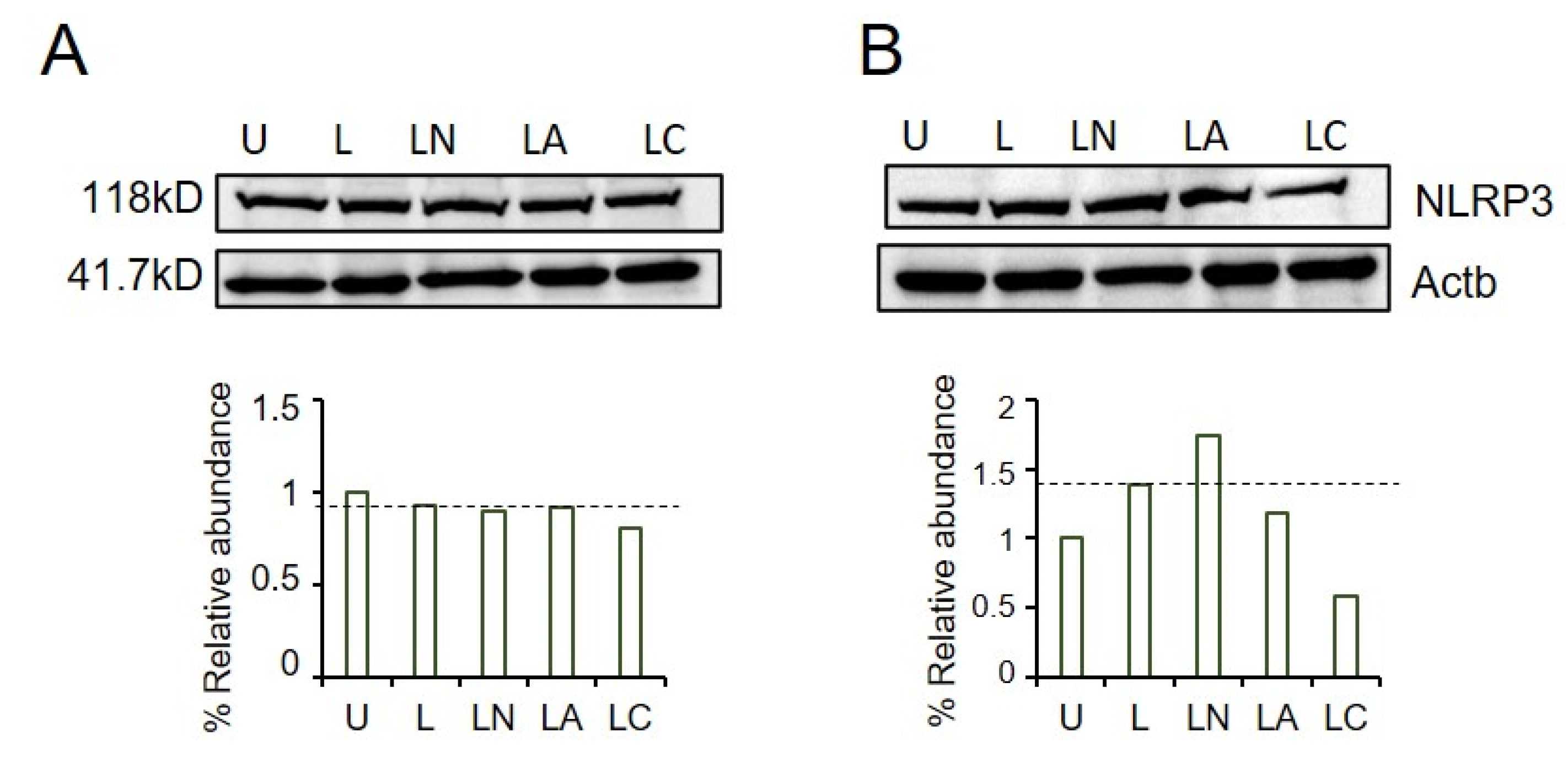 Ijms 23 09484 g004 550