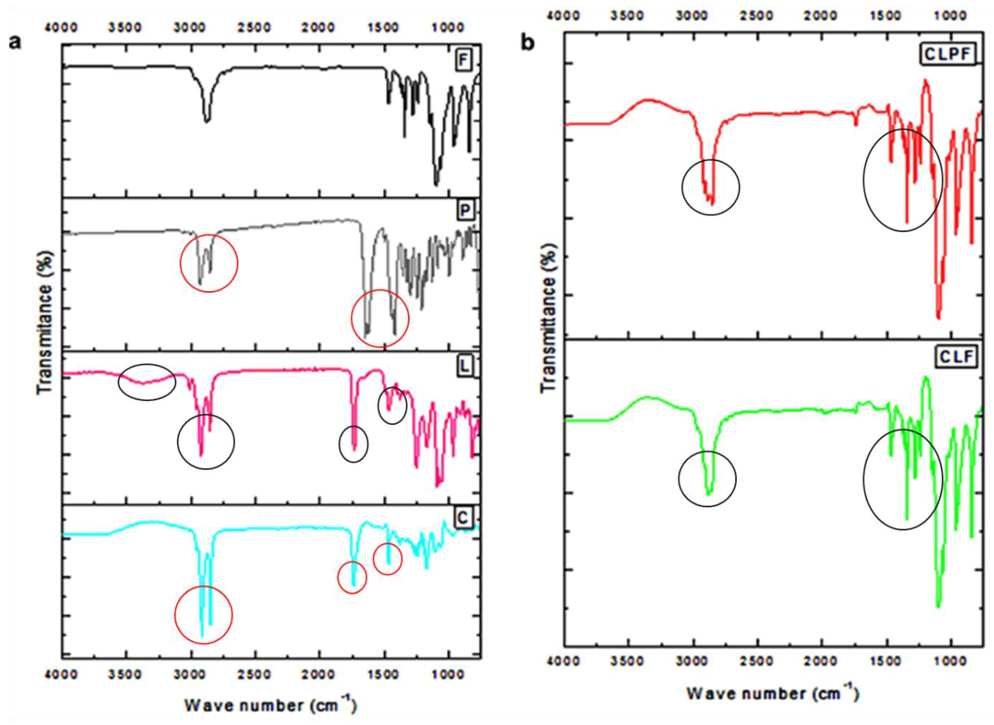 Ijms 23 09485 g002 550