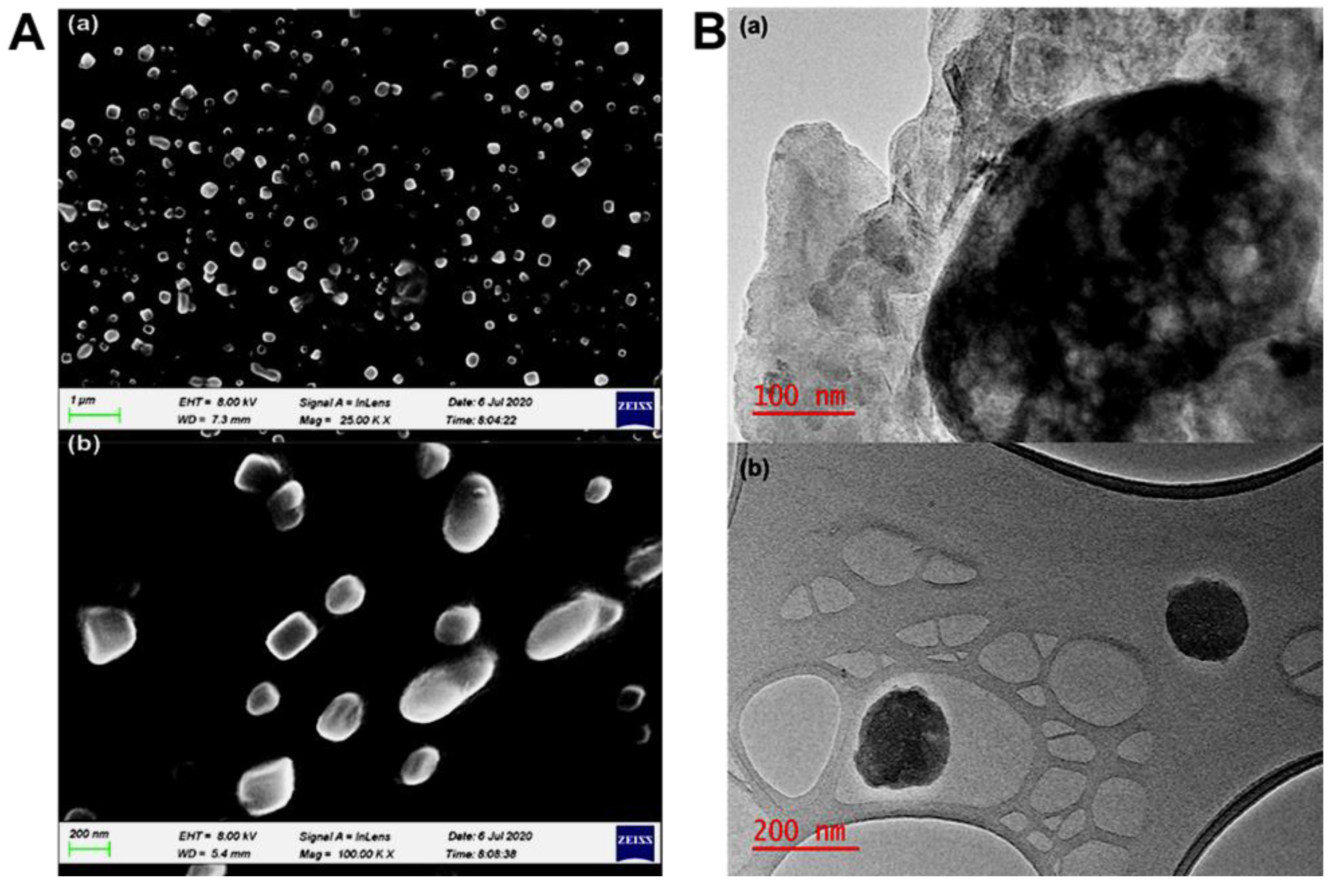 Ijms 23 09485 g011 550