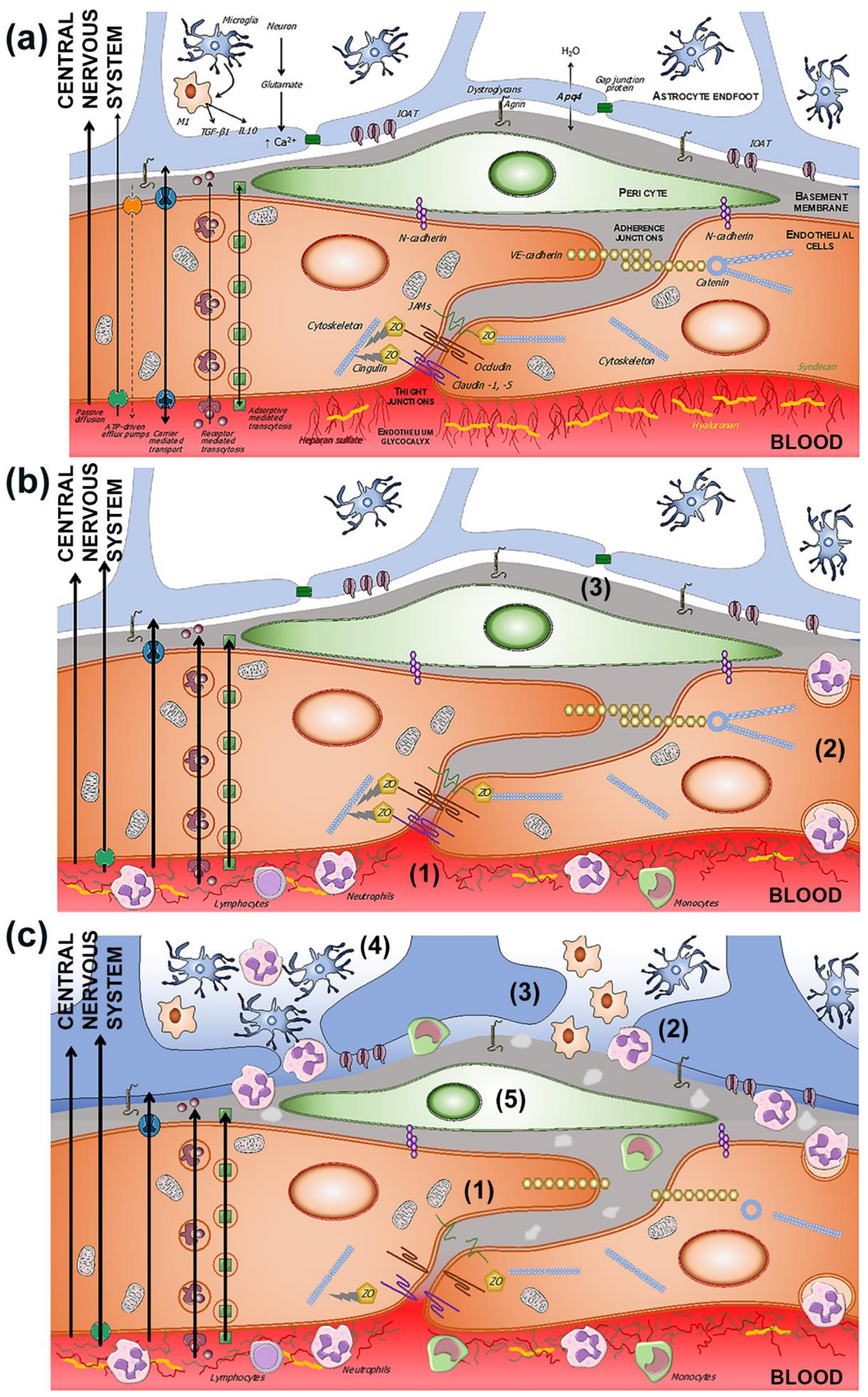 Ijms 23 09486 g002 Ijms 23 09486 g002