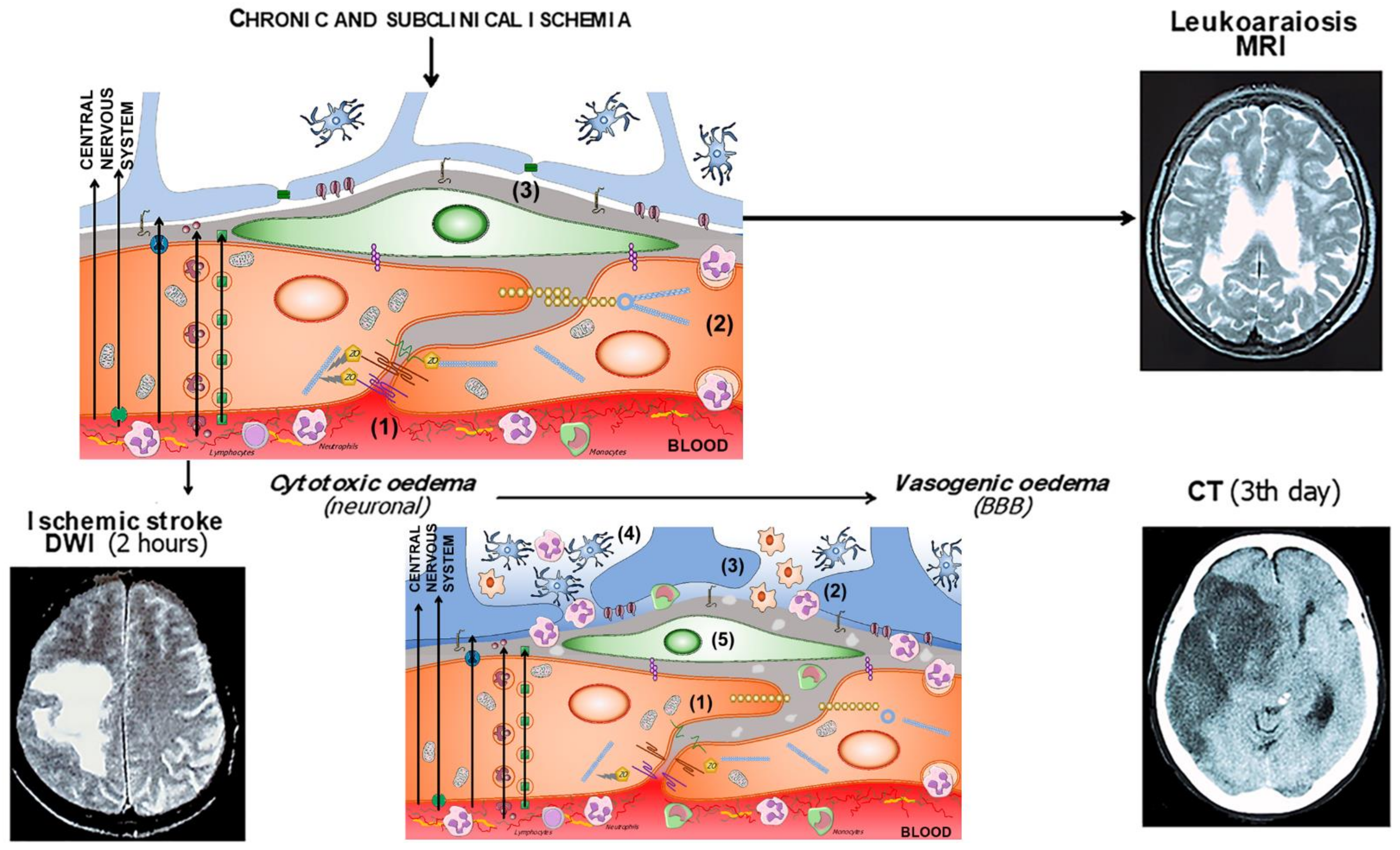 Ijms 23 09486 g005 Ijms 23 09486 g005