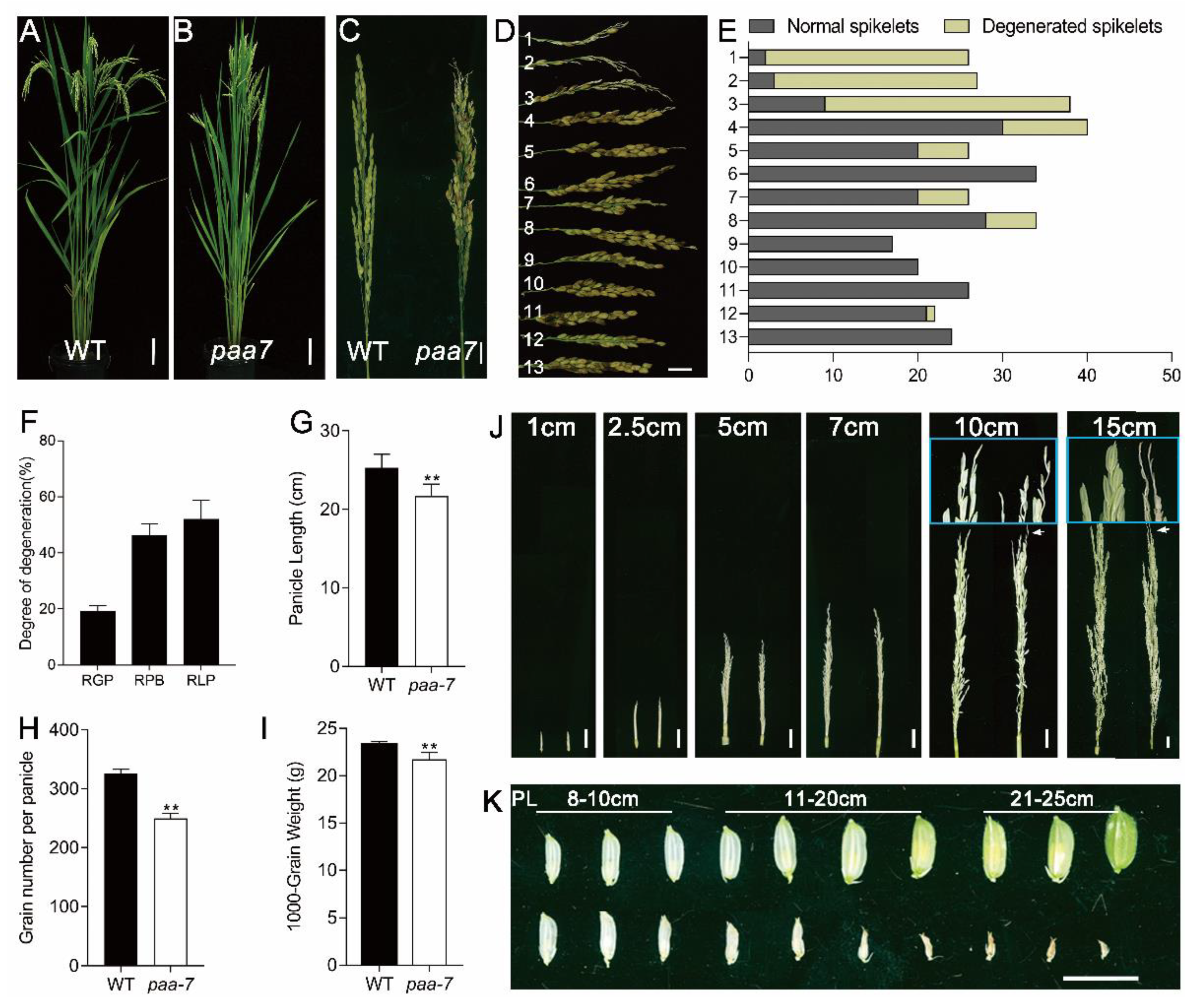 Ijms 23 09487 g001 550
