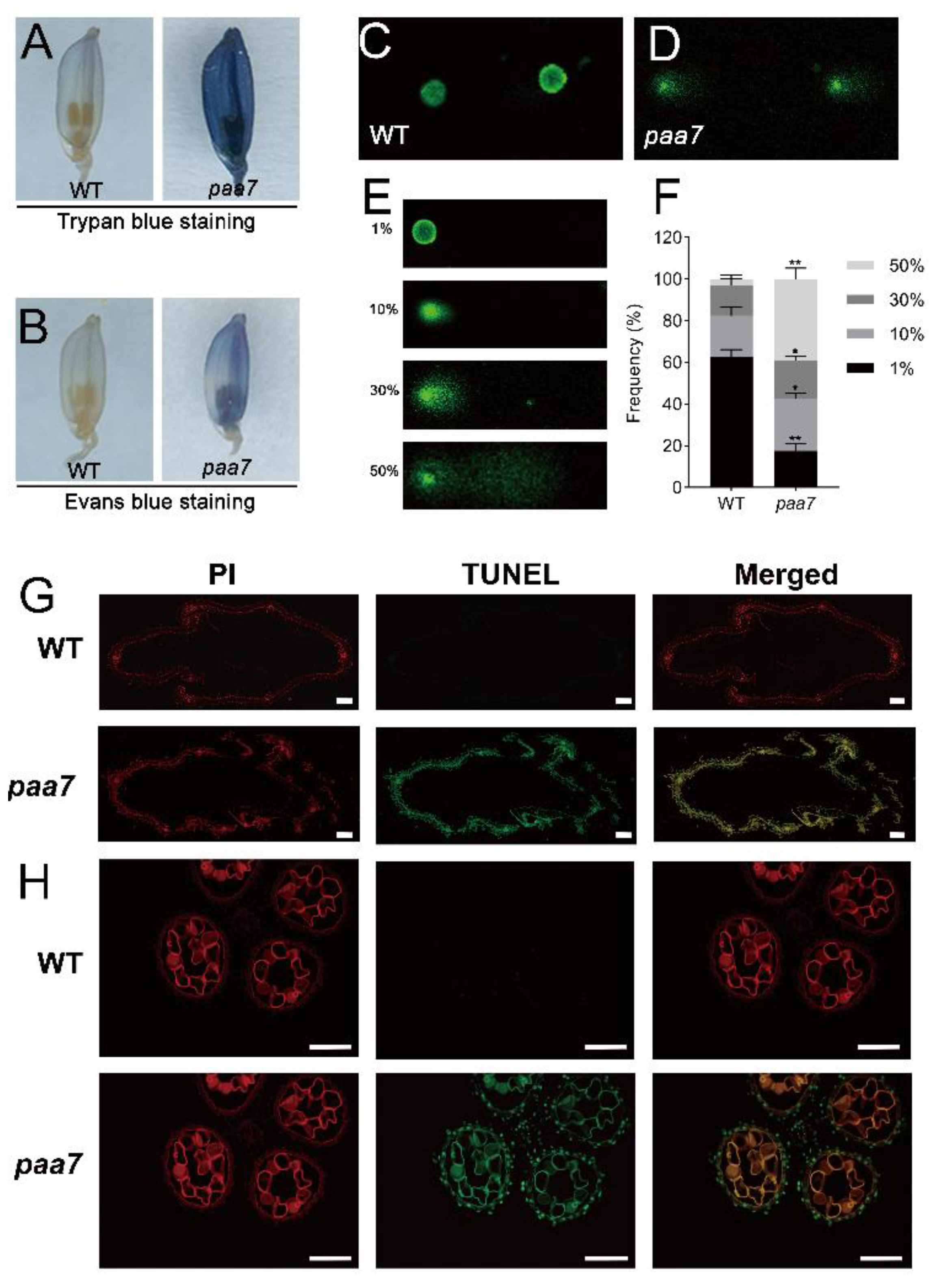 Ijms 23 09487 g002 550