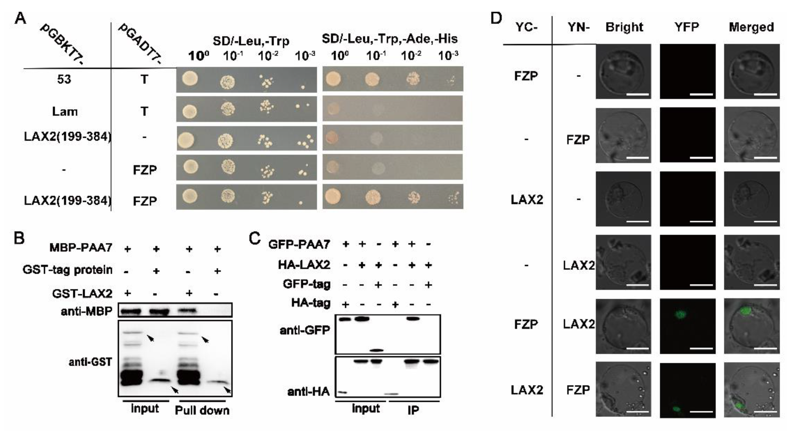 Ijms 23 09487 g007 550