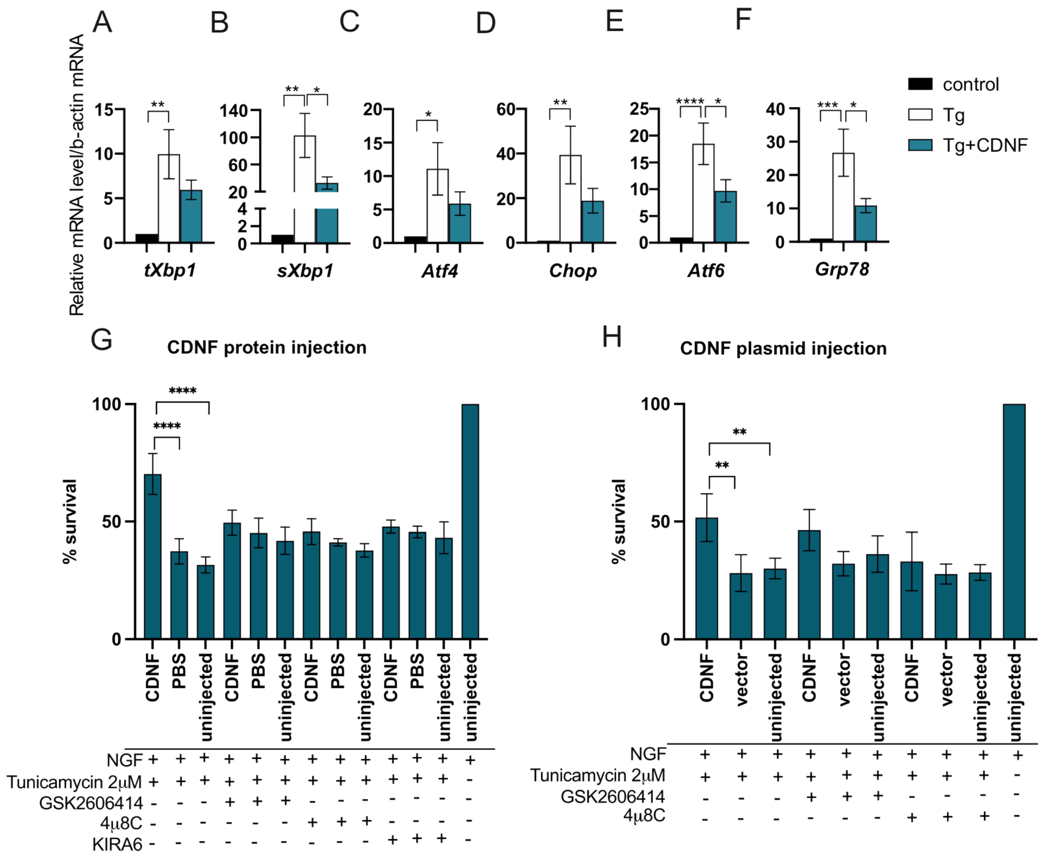 Ijms 23 09489 g003 Ijms 23 09489 g003