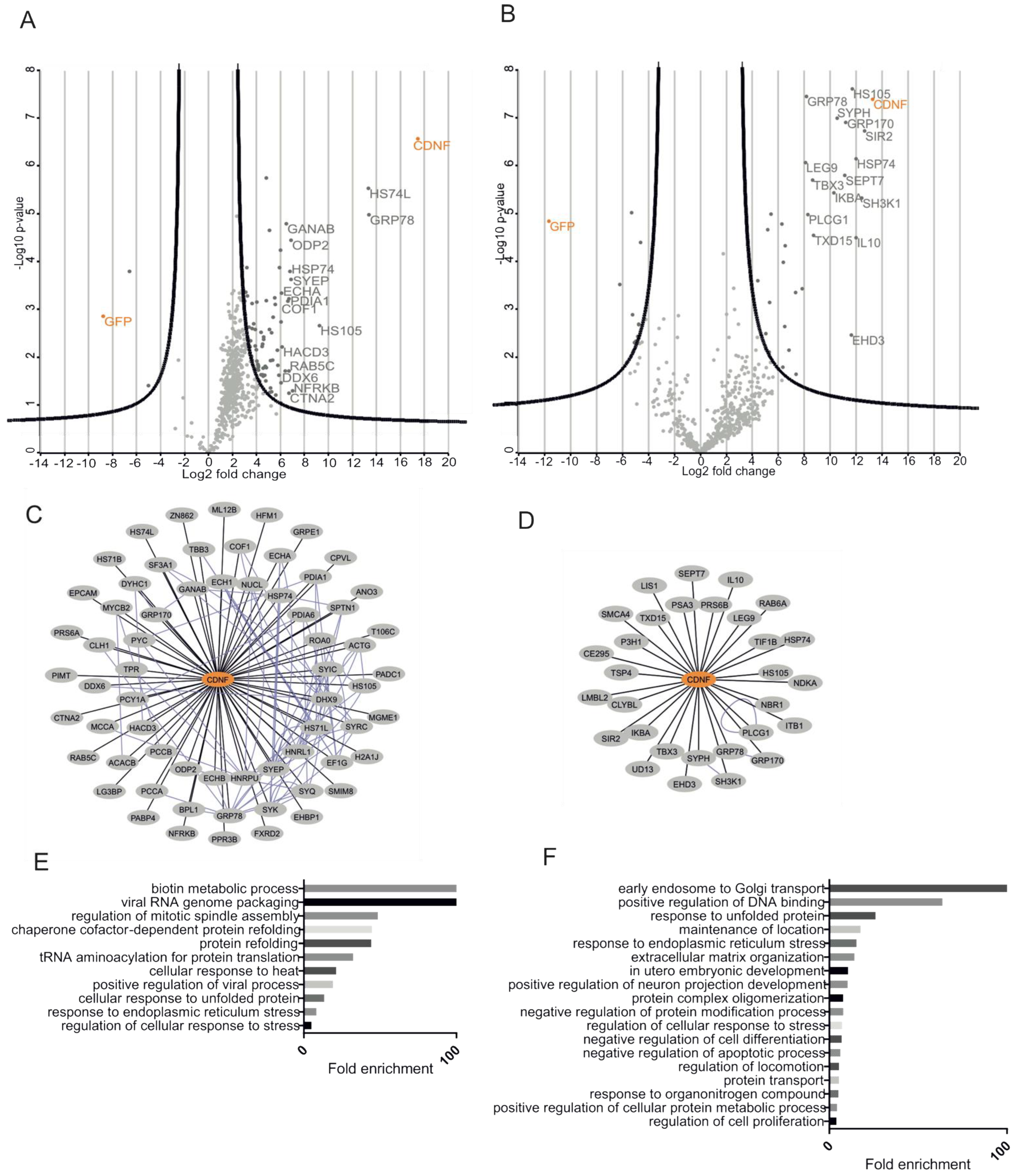 Ijms 23 09489 g005 Ijms 23 09489 g005